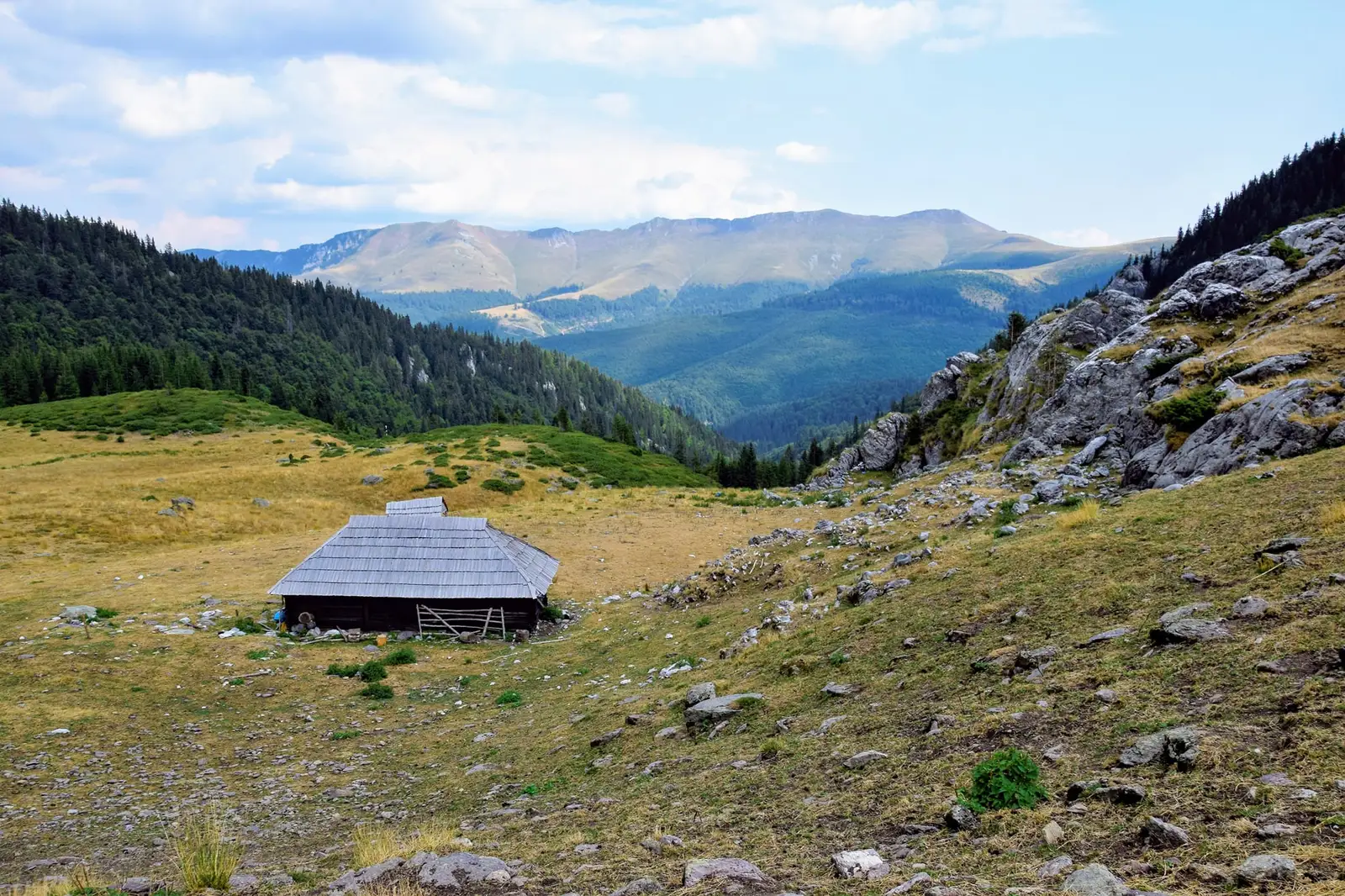 Stâna Soarbele - Radu Munteanu