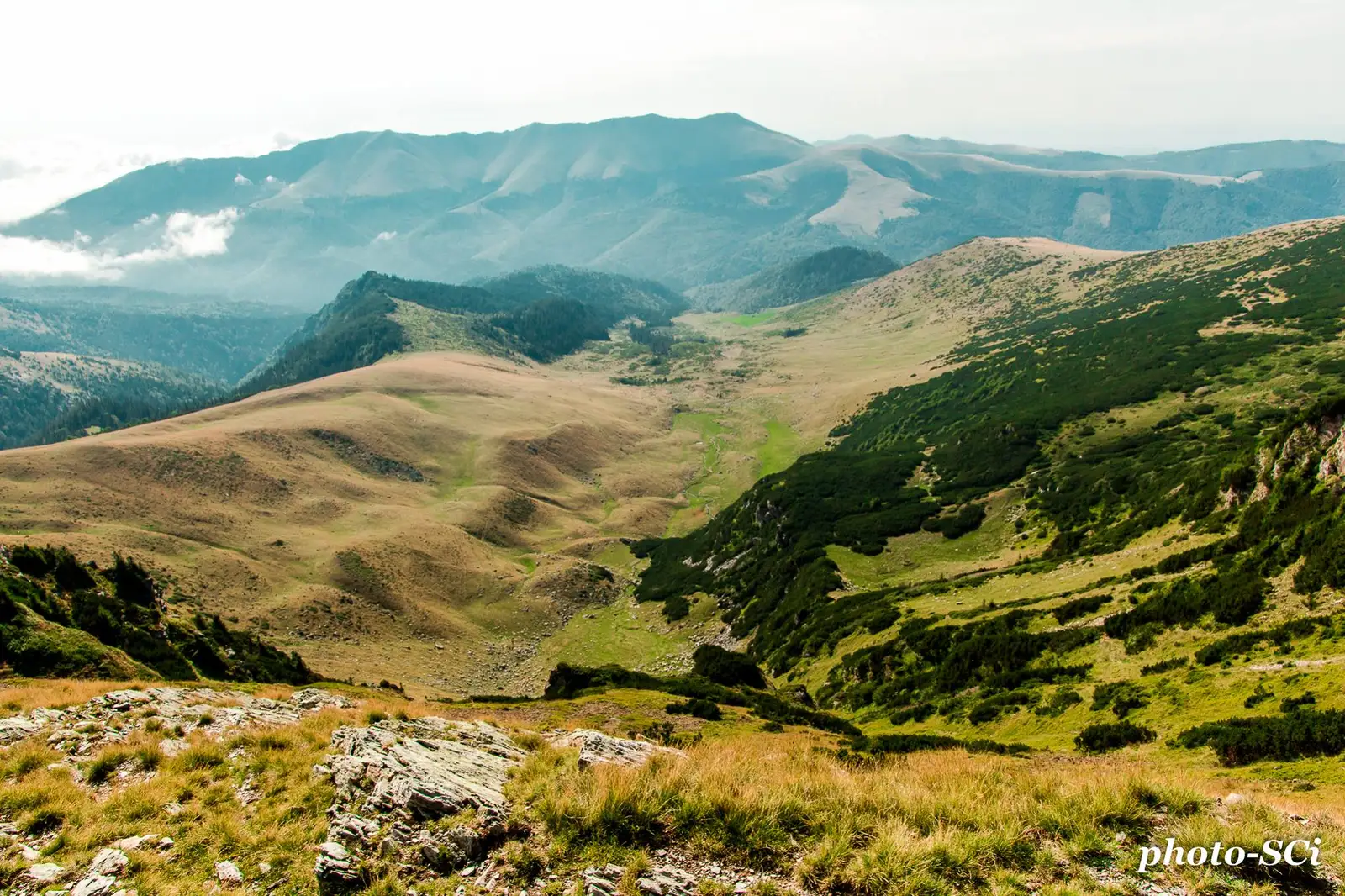 Valea Soarbele - Csaba-Ilie Silvesan
