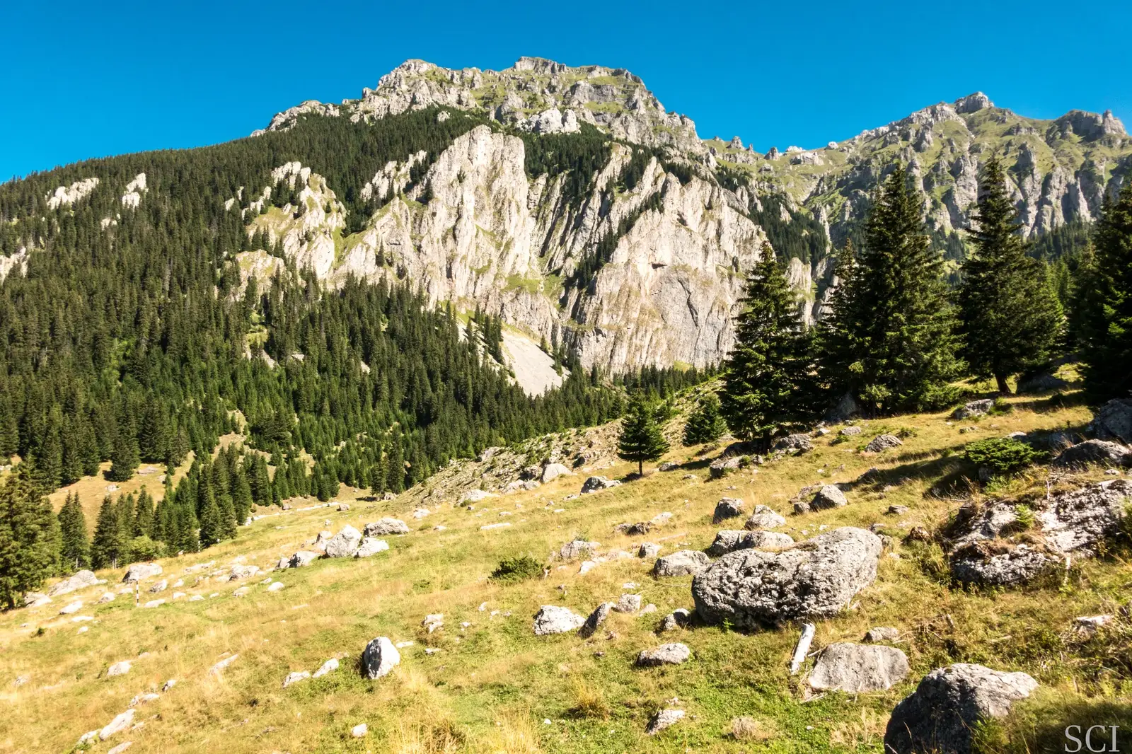  Poiana Gaura- Csaba-Ilie Silvesan