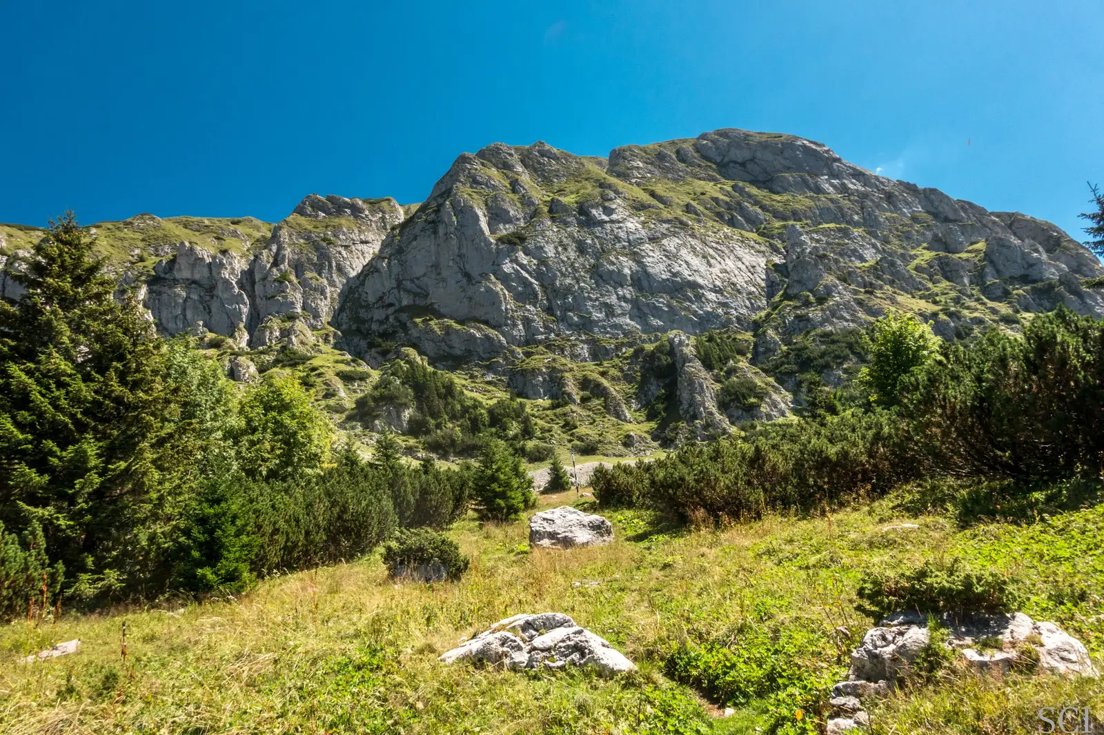  Muntele Gutanu - Csaba-Ilie Silvesan