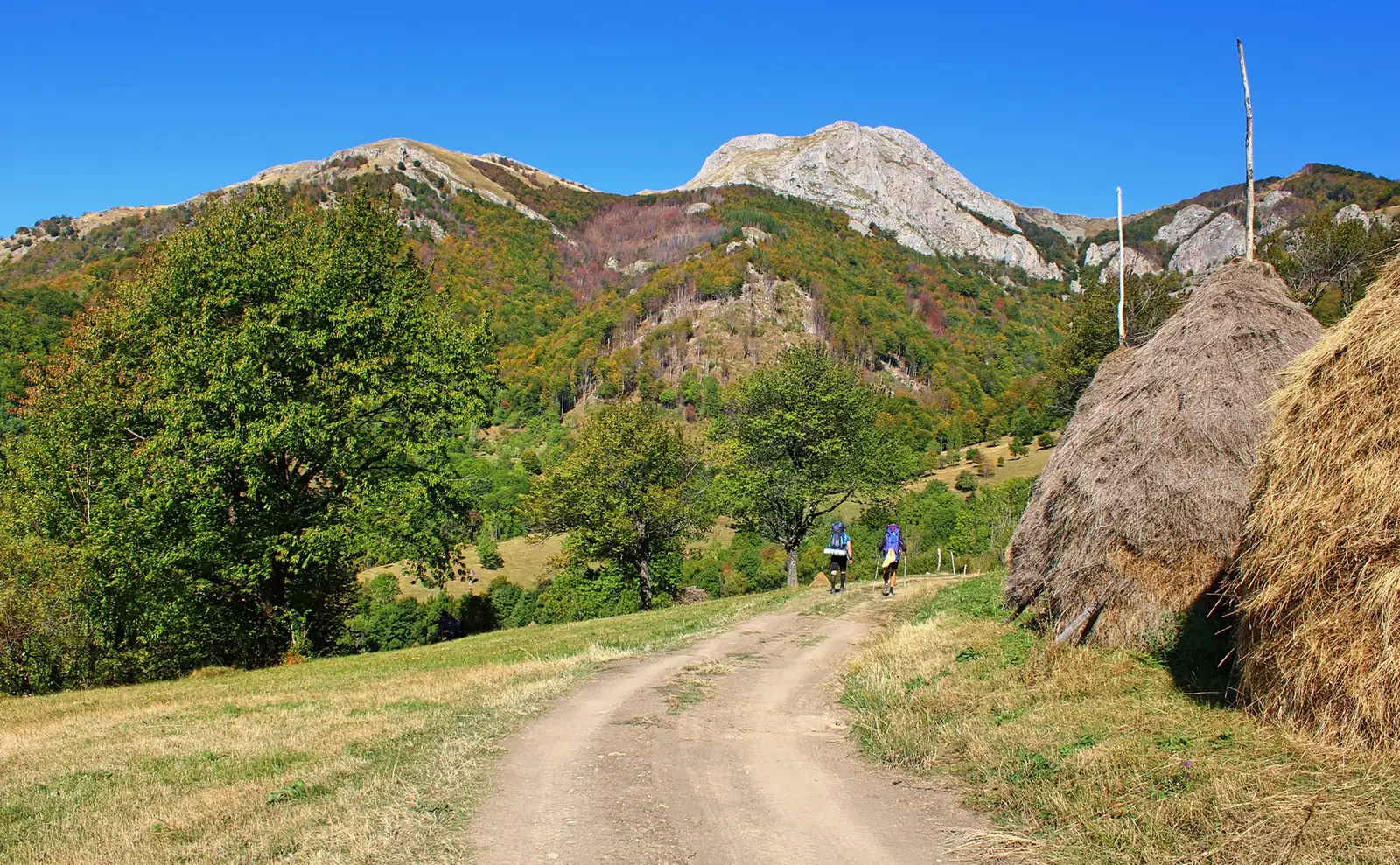  La pas prin Bedina- Sima Constantin
