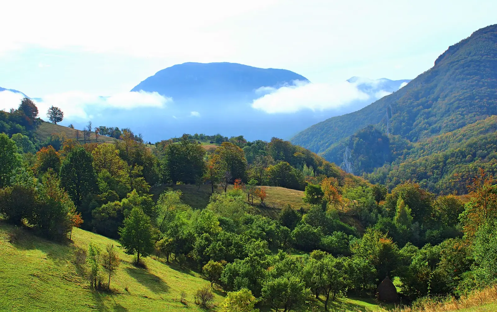  Poienile de la Bedina - Sima Constantin