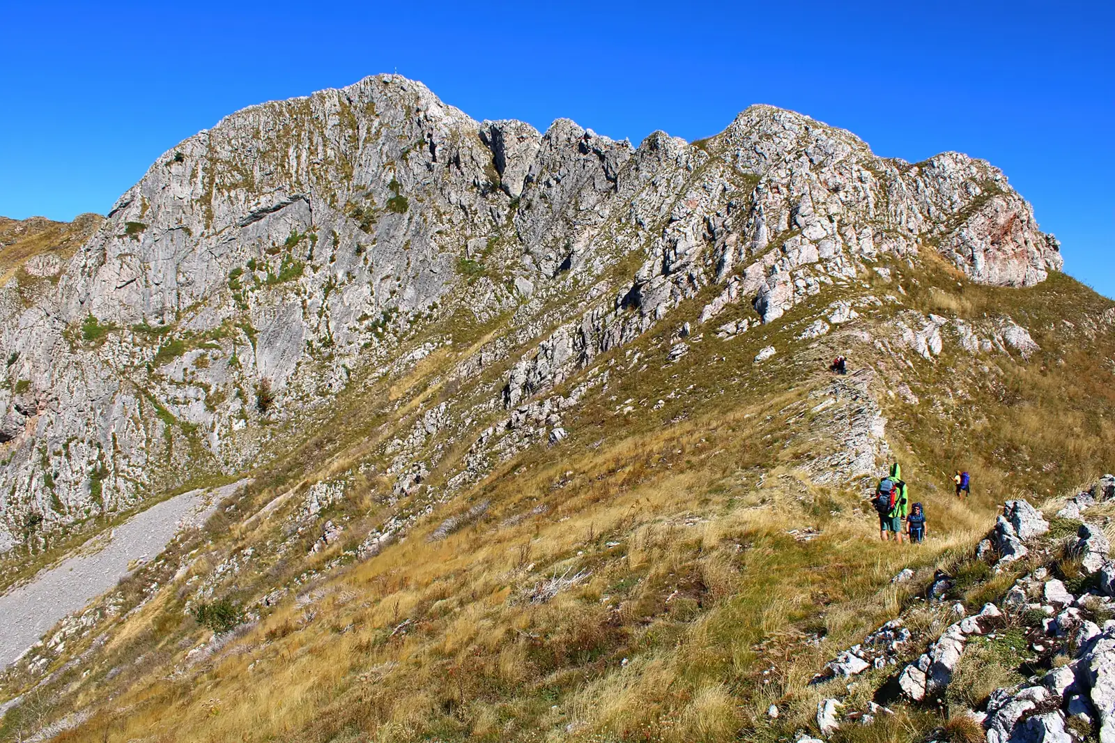  Vf. Biliana și Zascol - Sima Constantin