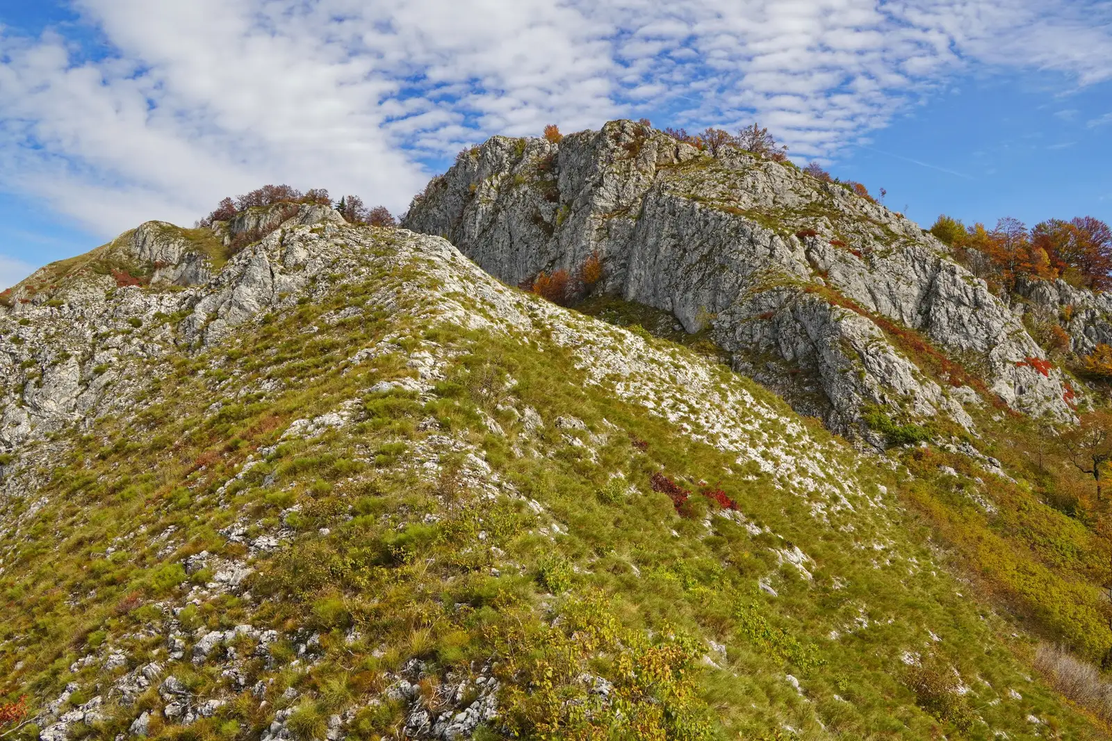 Cocoașele crestei Piatra Cloșanilor - Adrian Vintila