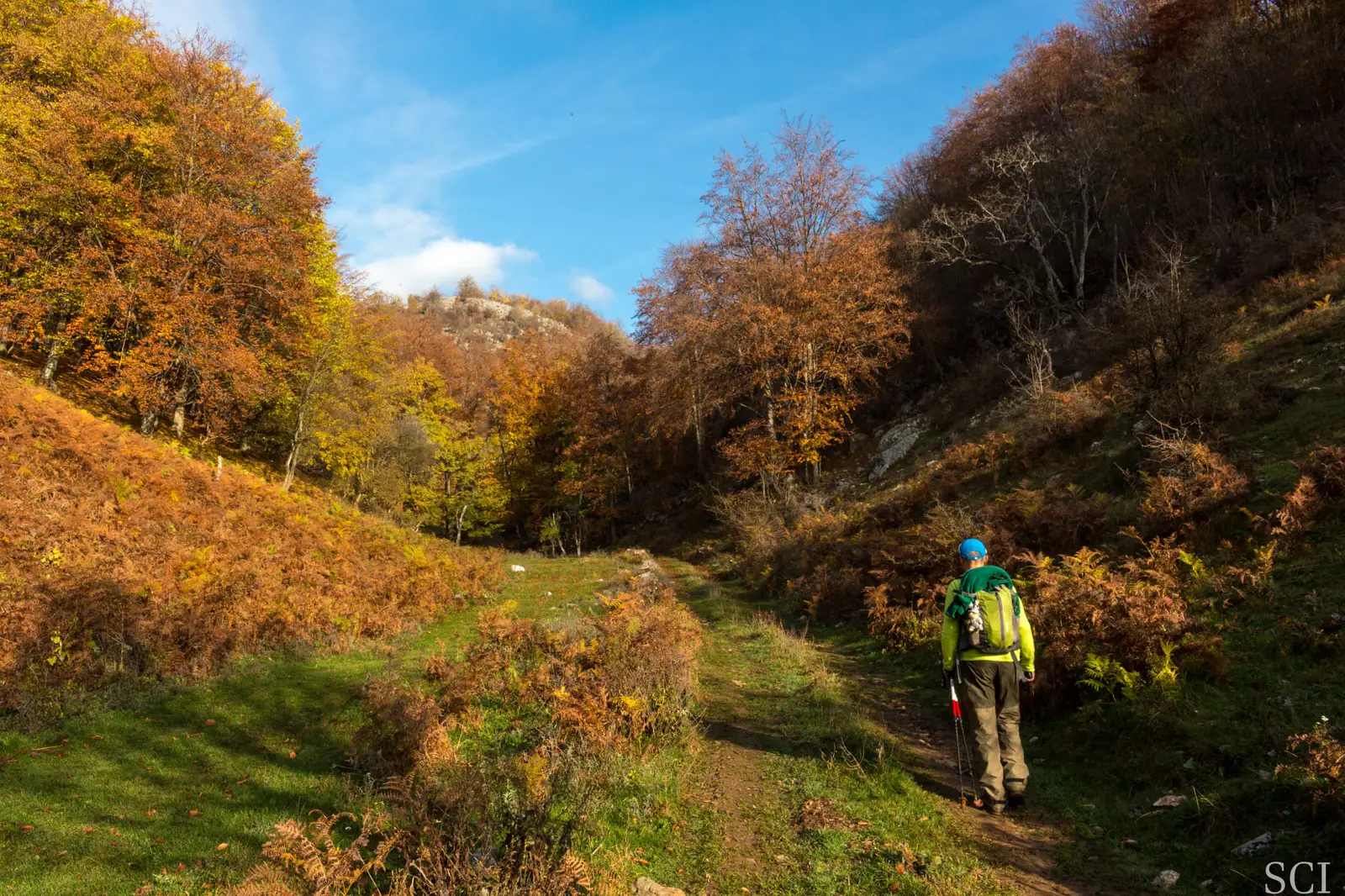 Poteca spre Piatra Cloșani - Csaba-Ilie Silvesan