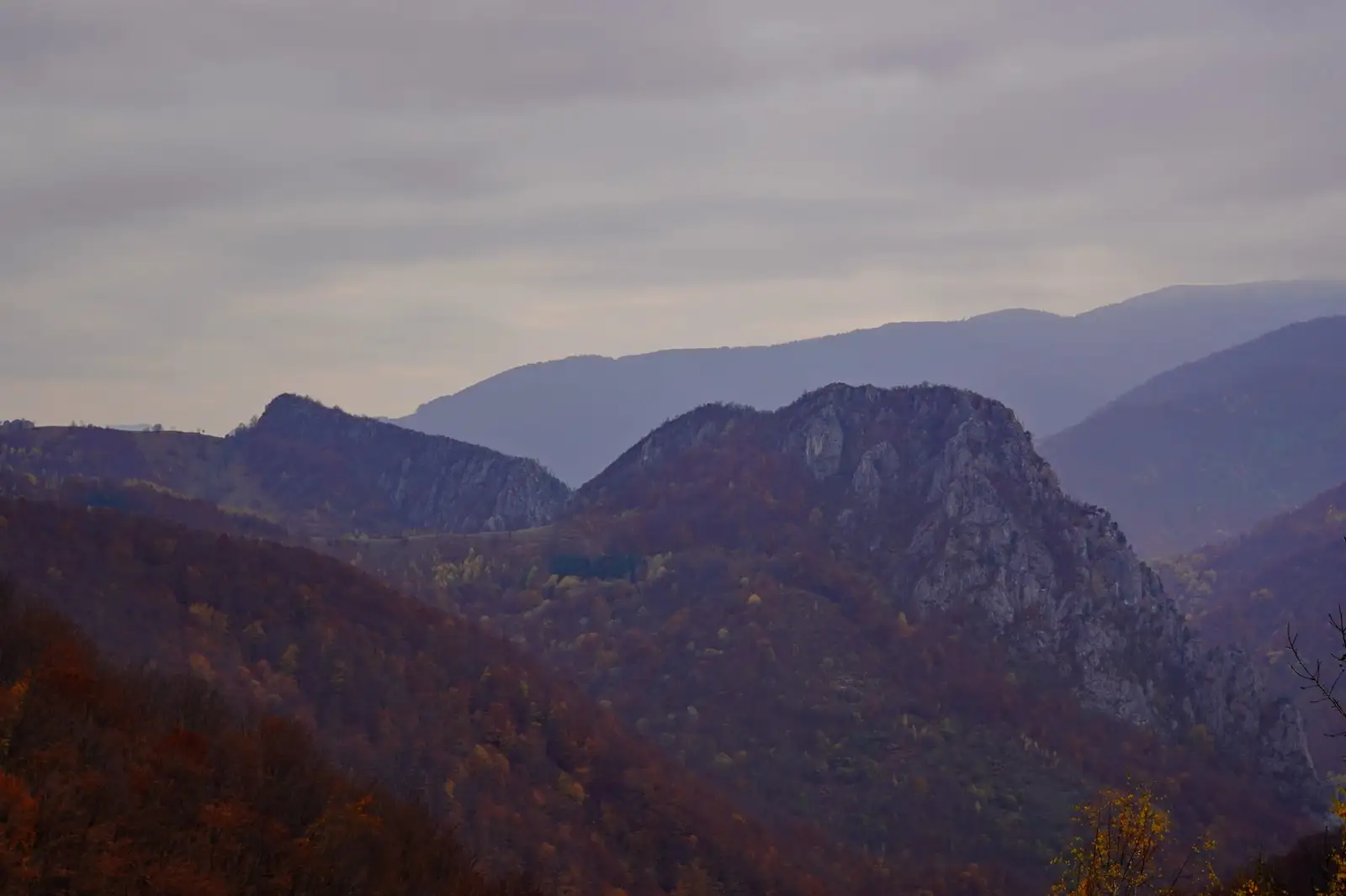 Piatra Cloșanilor - Adrian Vintila