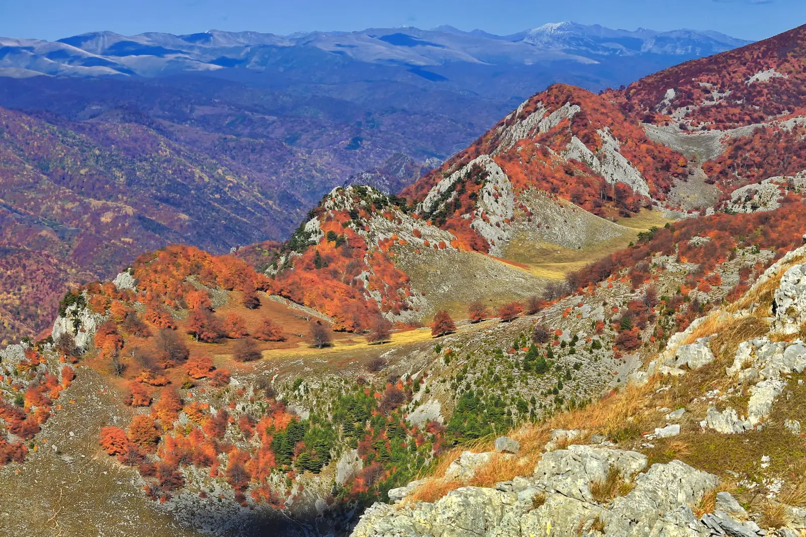 Poienile de Sus - Liana Marin