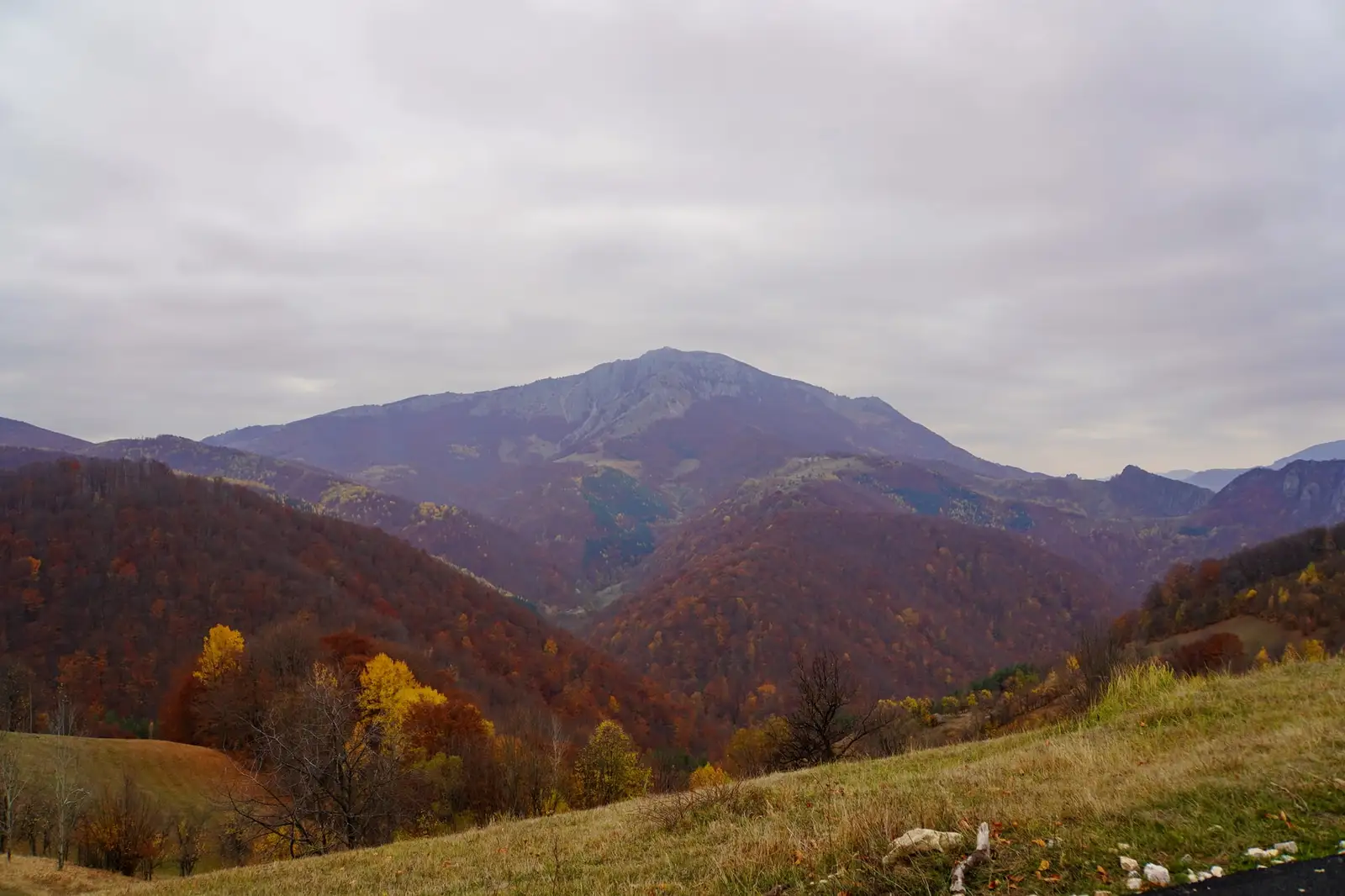 vârful lui Stan - Adrian Vintila