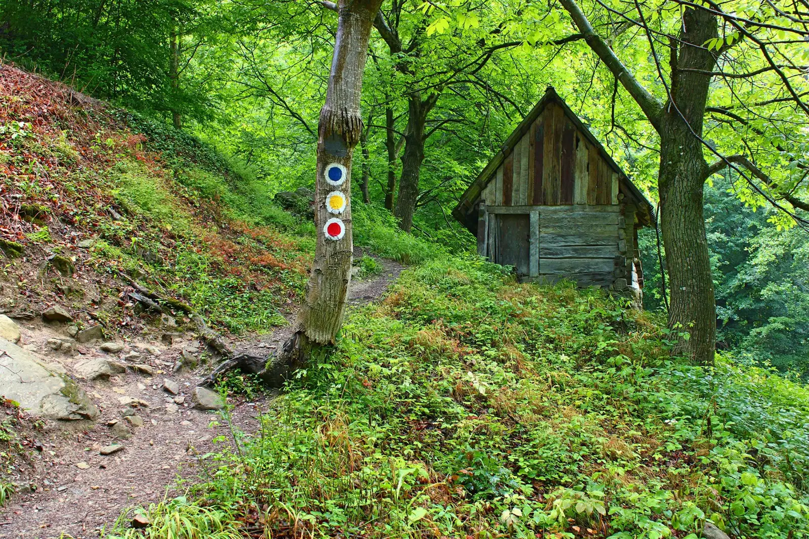  Moara de apă spre Dobraia  - Sima Constantin