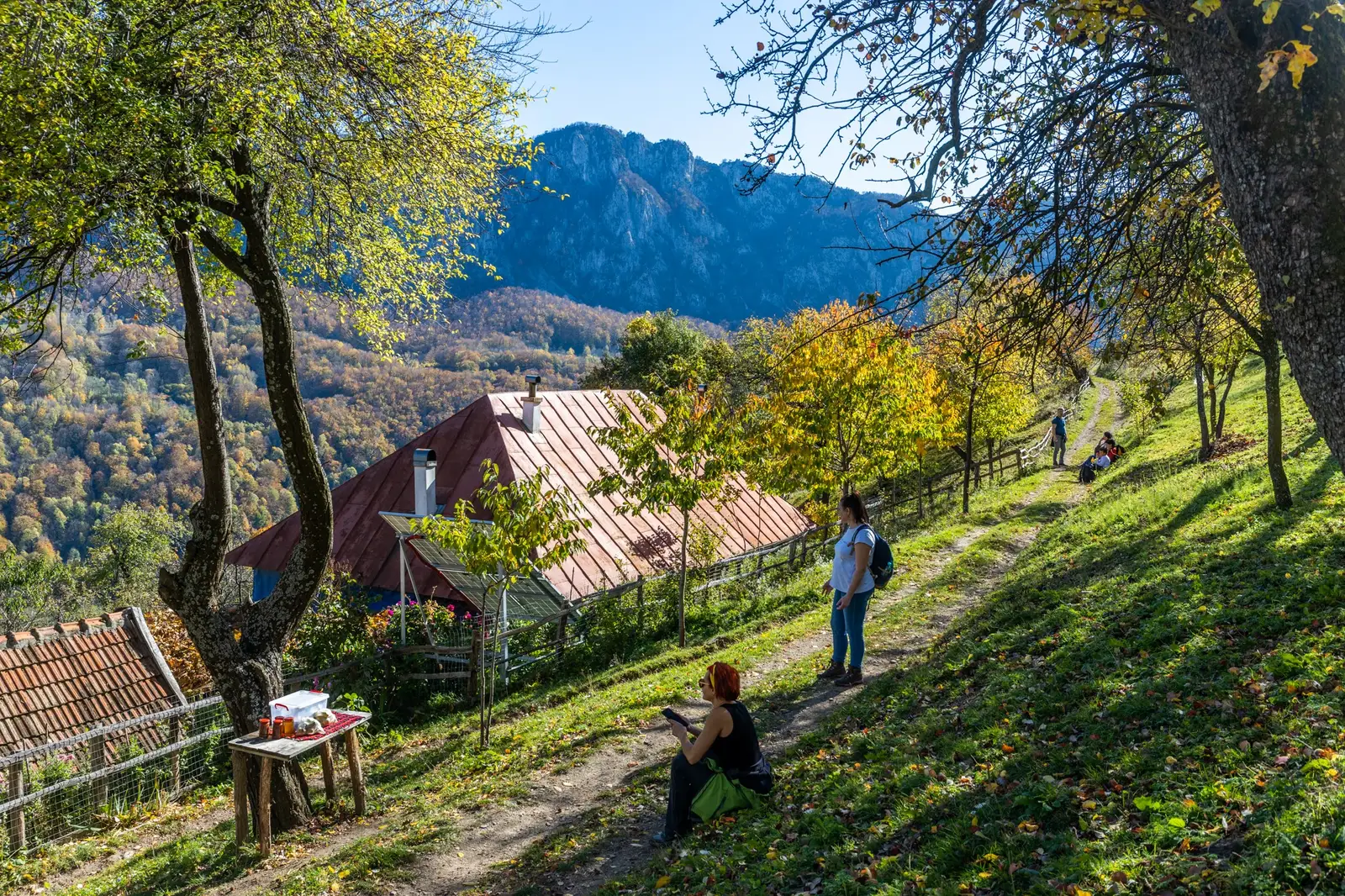  Căsuța Albastră din Ineleț, cu autoservire - Marius Turc