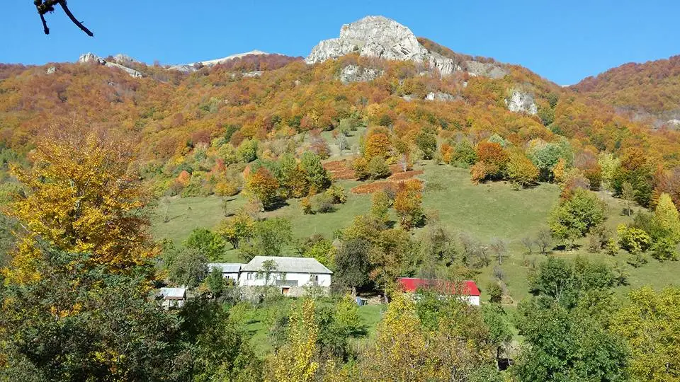  Cătunul Prisăcina - Alexandru Teleagă