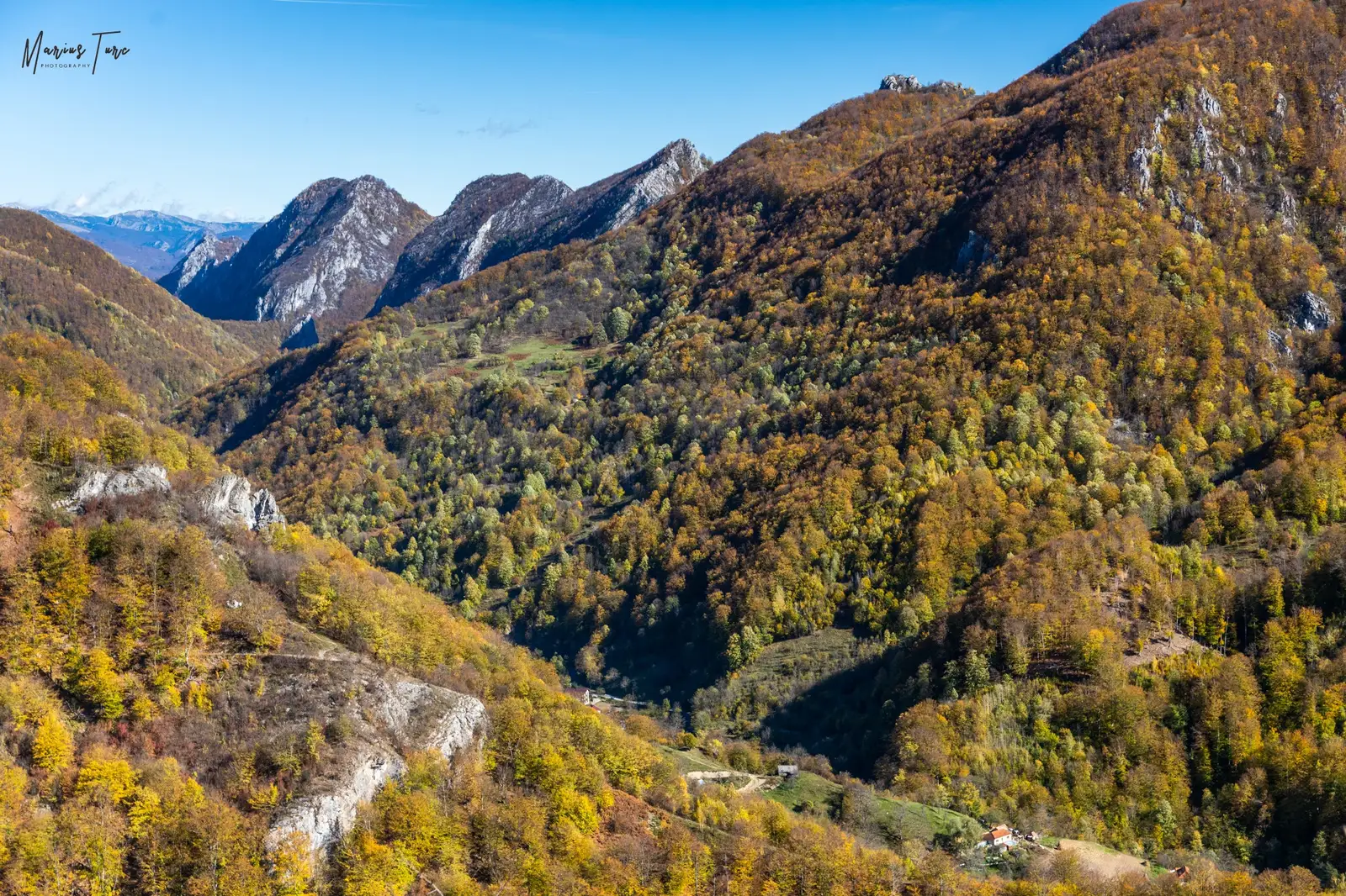  Geanțurile Cernei - Marius Turc