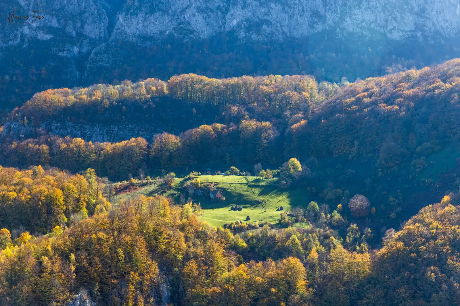  O gospodărie din Dealul Poienii - Marius Turc