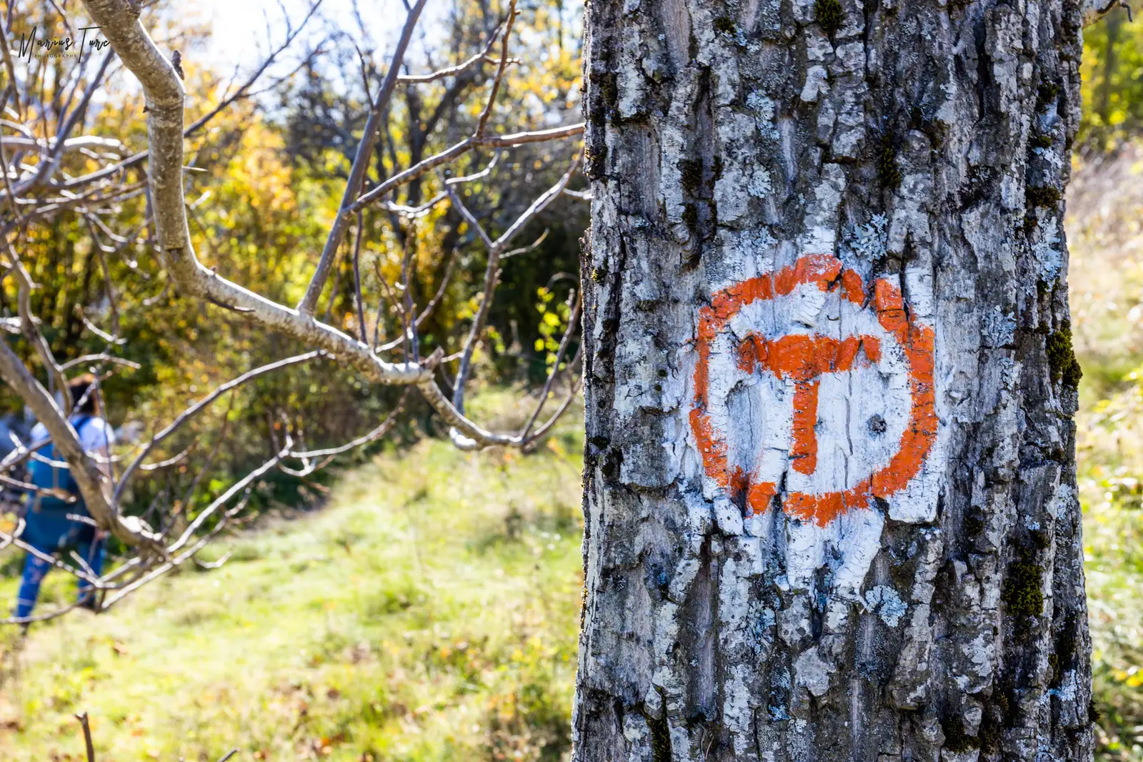  Via Transilvanica - Marius Turc