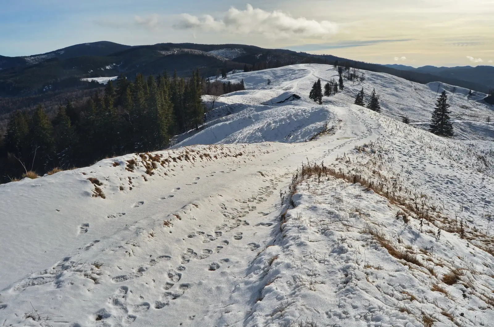  10. Golul Pietrosului, vedere spre Casaria, Zboina Frumoasa - Andrei Raftopol