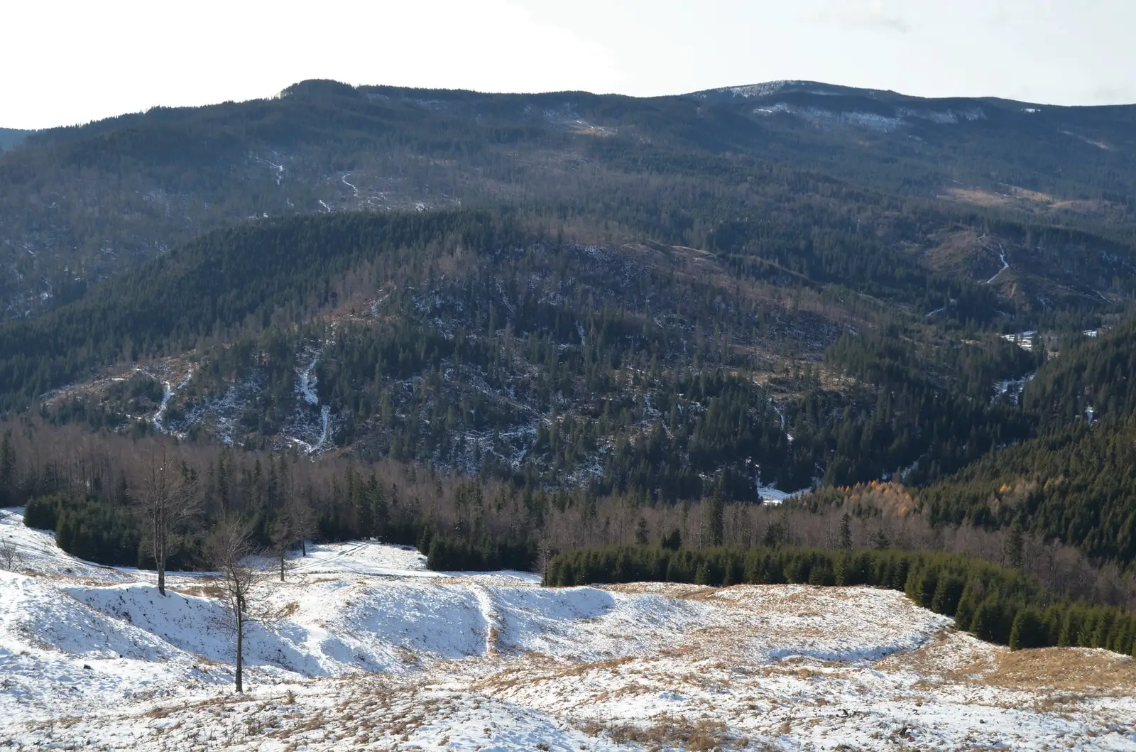 Valea Zabala și Creasta Giurgiului - Andrei Raftopol