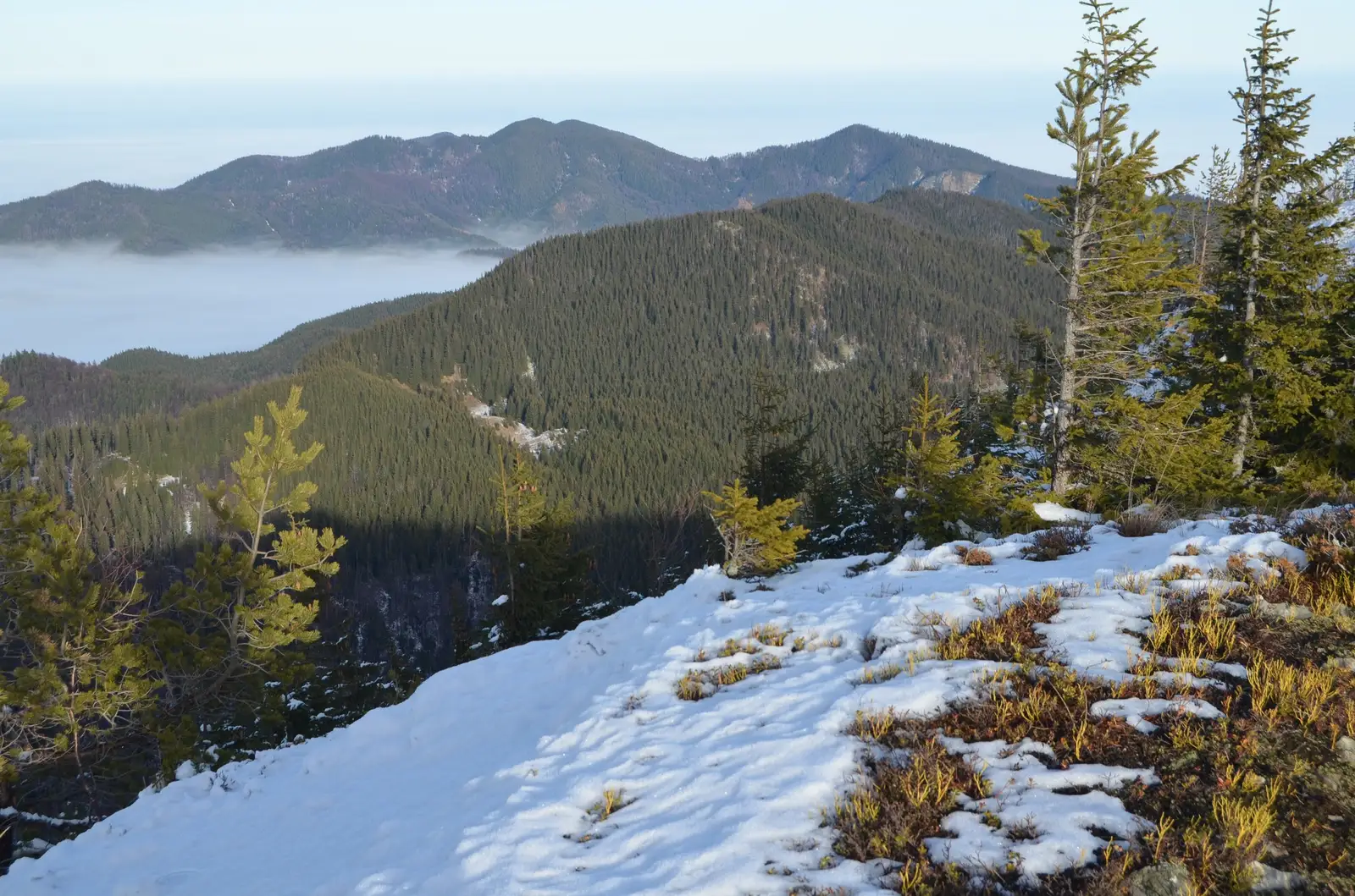  vf. Colocani de pe Culmea Muntișoarele, Culmea Cățeaua în prim plan - Andrei Raftopol