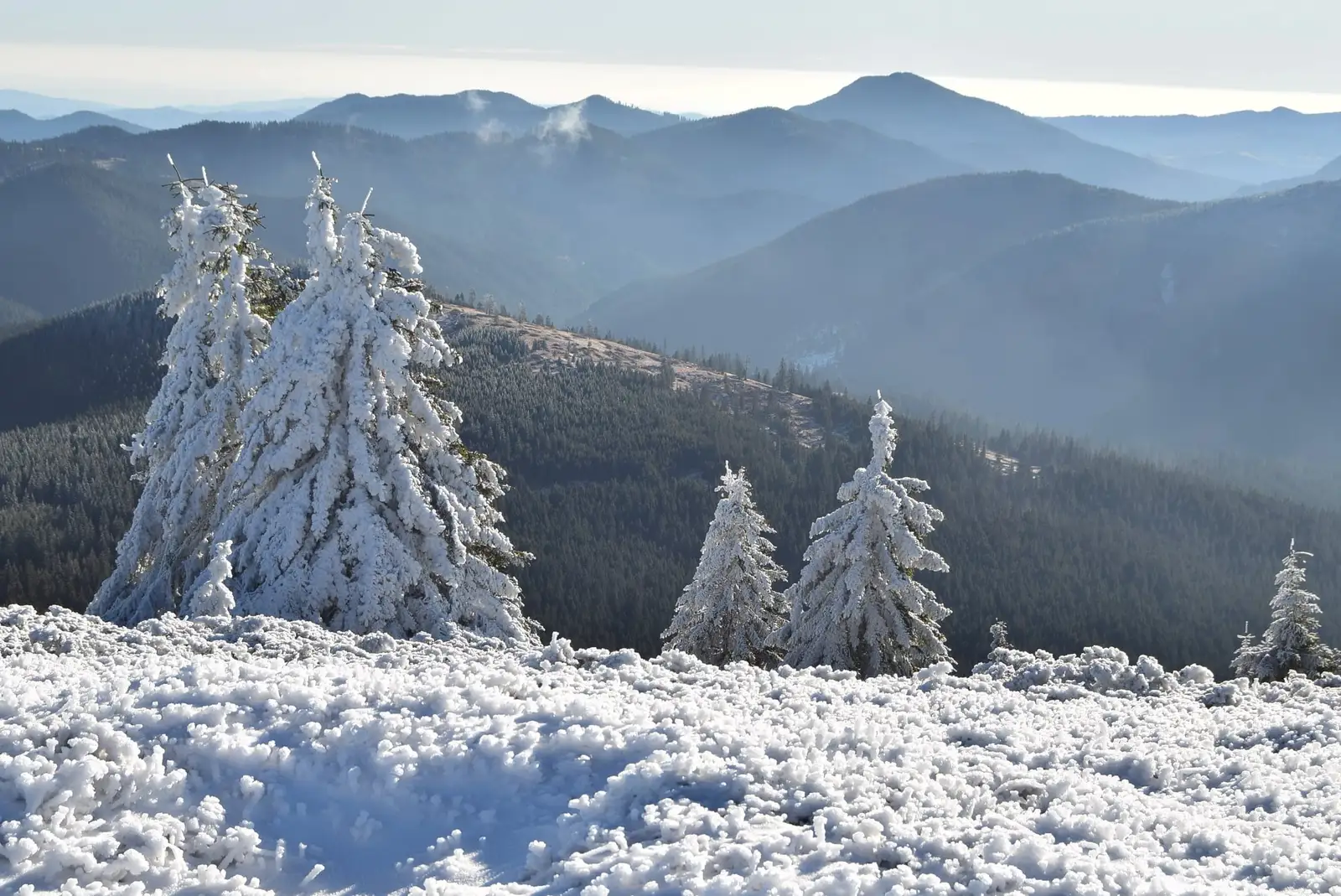  Pietrosu Vrancei, vedere de pe Culmea Lăcăuți - Adrian Raftopol