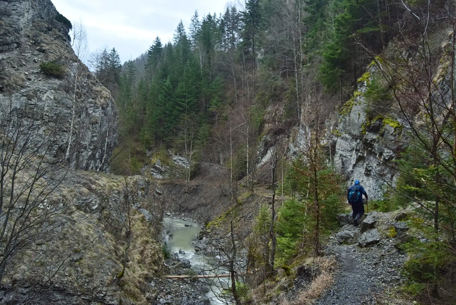  Cheile Tișiței, afectate de viituri - Andrei Raftopol