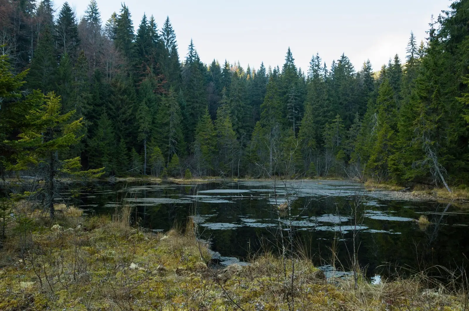  Pe malul Lacului Negru - Andrei Pahomi