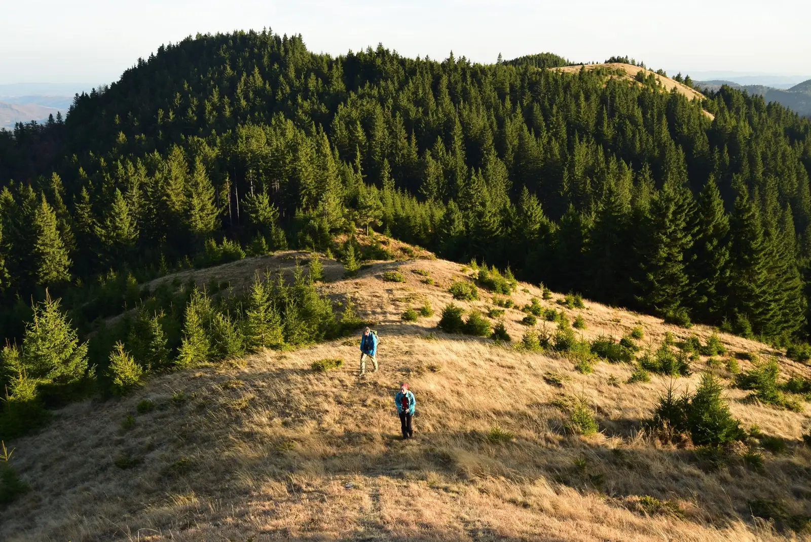  Prin Munții Furu - Andrei Raftopol