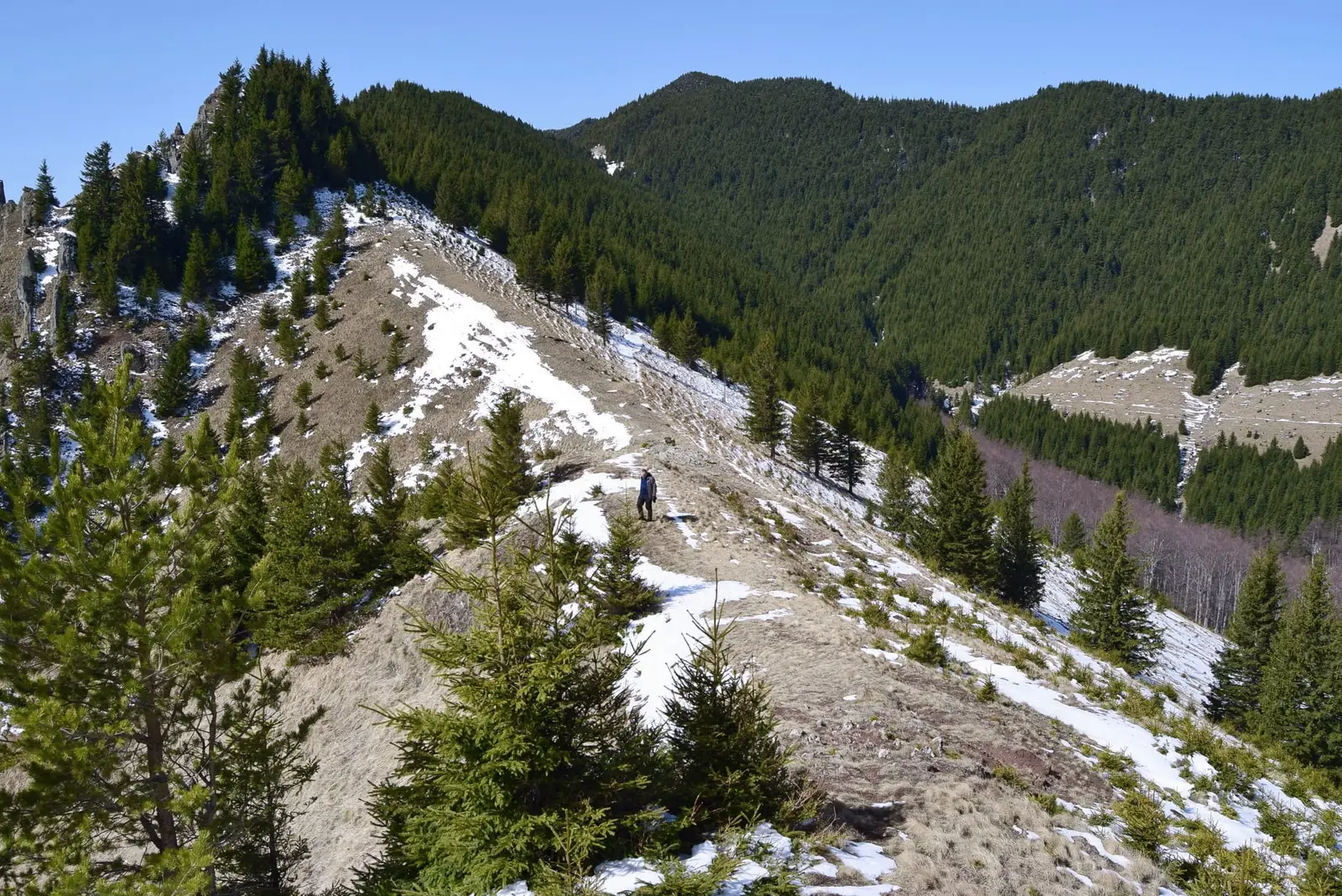  Turnurile Cozei - Andrei Raftopol