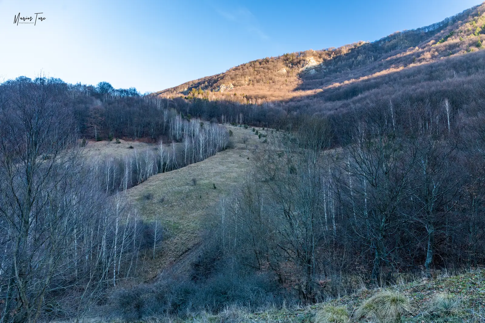  Coborâre pe Pârâul Muntelui spre Vidolm - Marius Turc