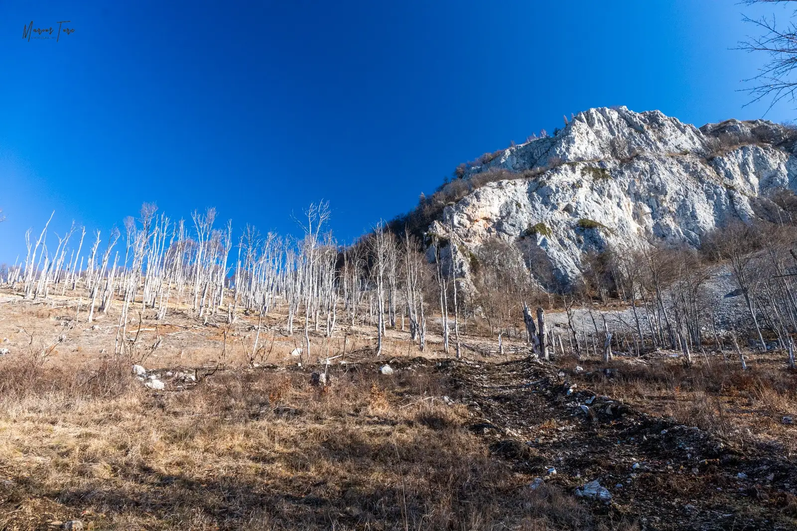  Urcăm prin pădurea uscată, pe lângă abruptul stâncilor -Marius Turc
