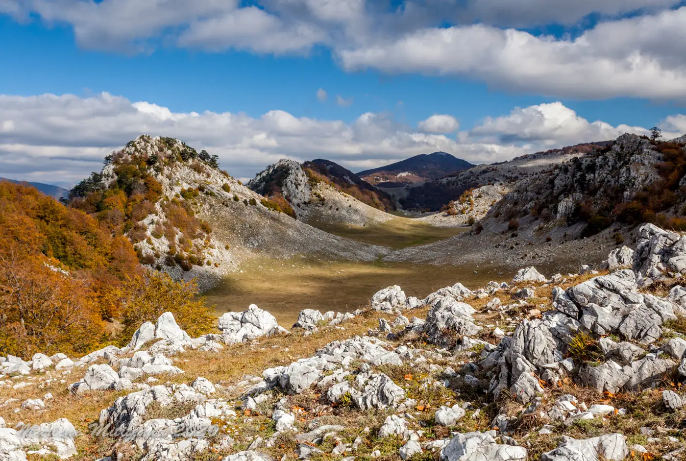  Poienile de Sus spre Vf. lui Stan - Dinu și Marlene Mititeanu