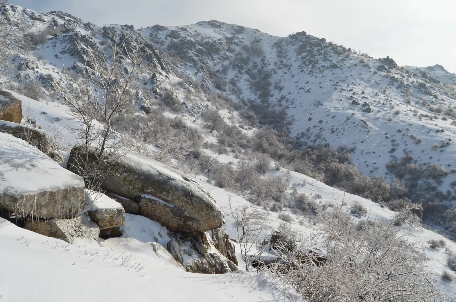  Abruptul Suluku Mare - Andrei Raftopol