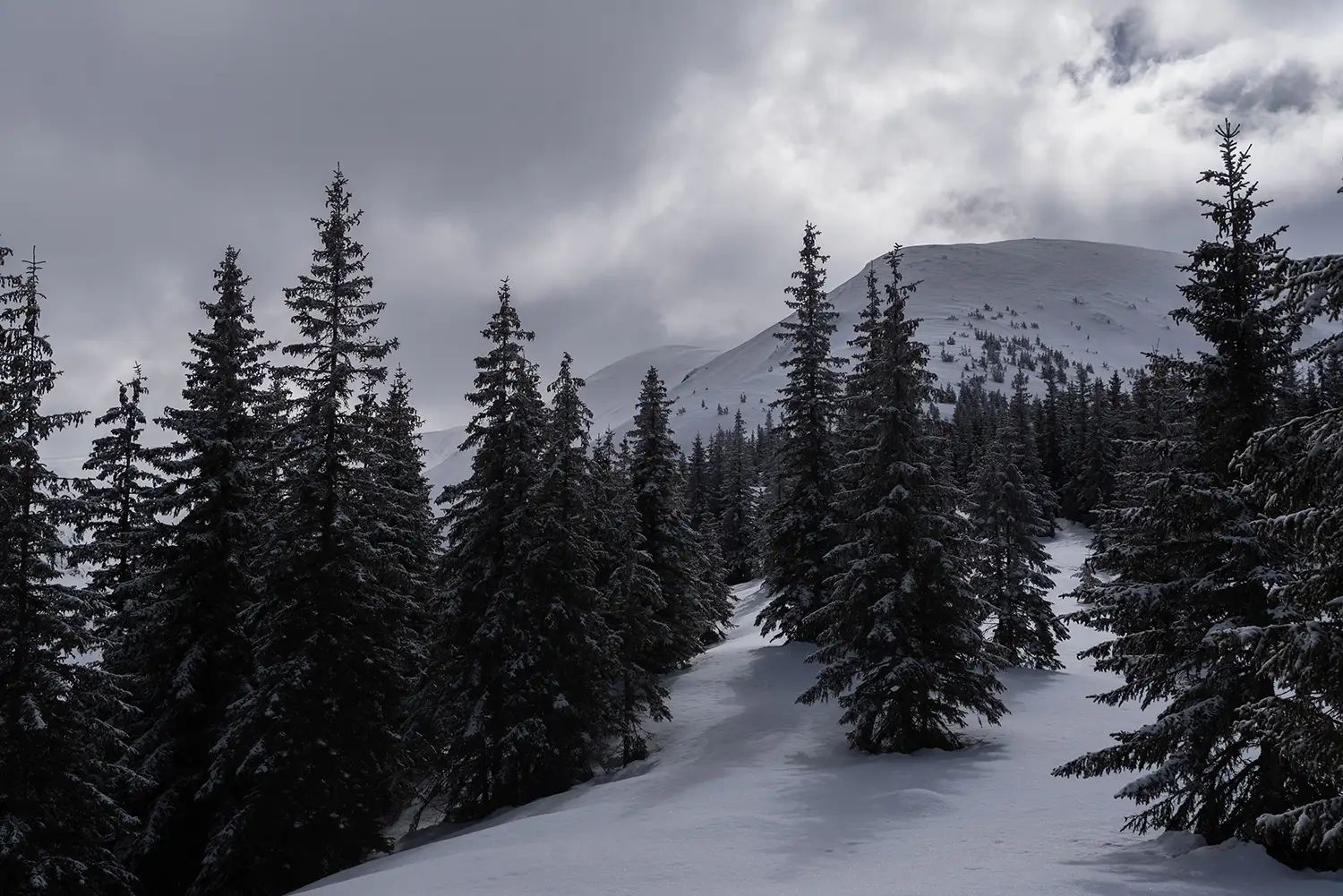 Munții Făgărașului
