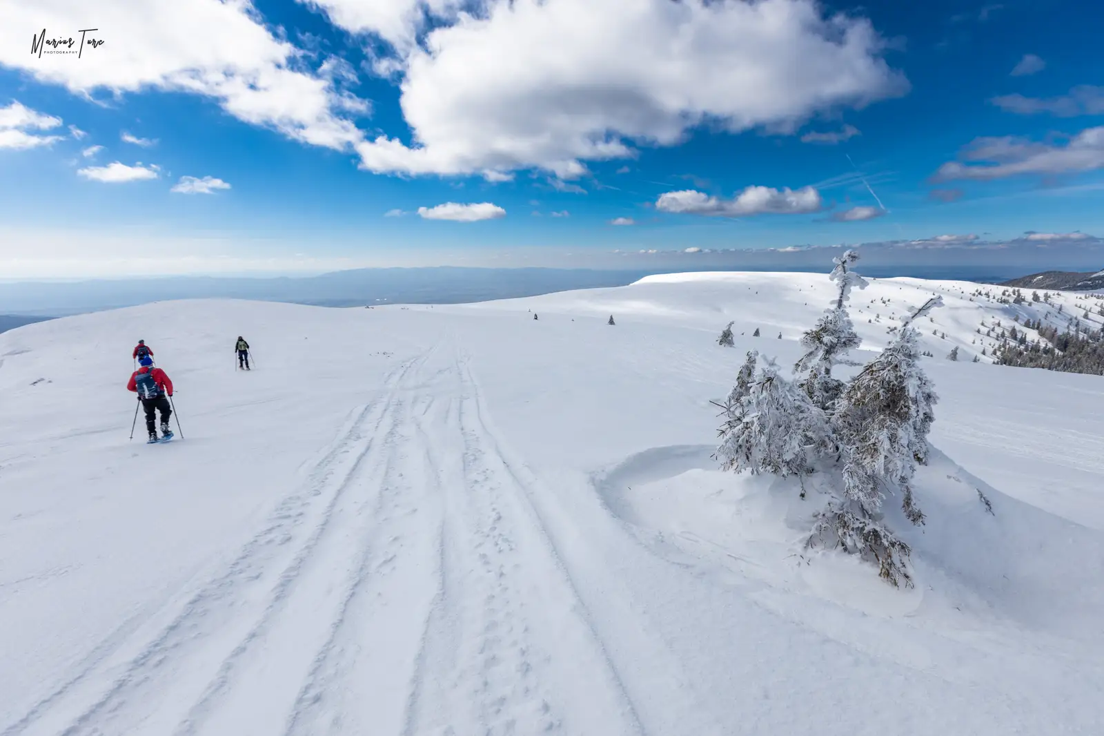 Pe platou, sus in culmea Cârligate, munții Vlădeasa - Marius Turc