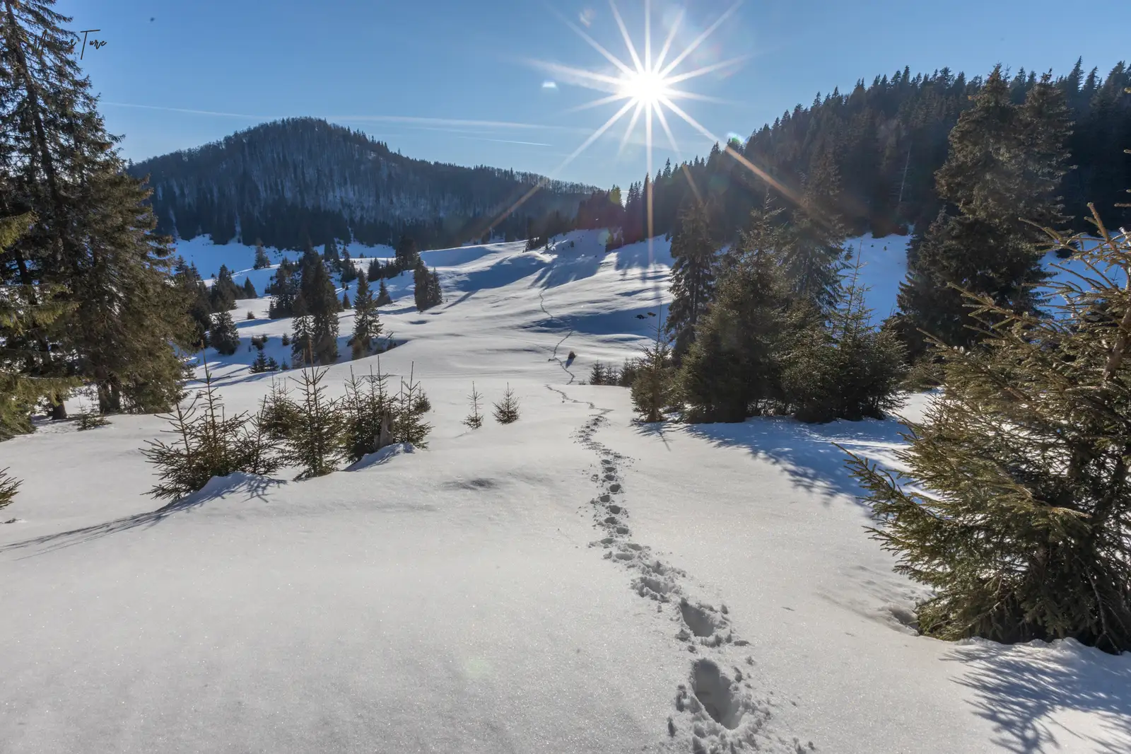  Urme spre Pietrele Boghii - Marius Turc