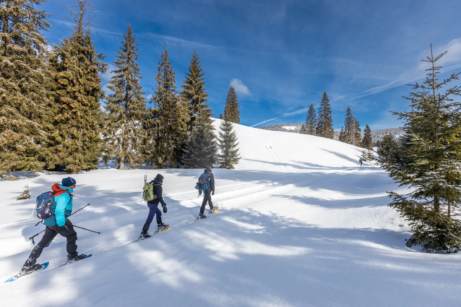  Pe rachete de zăpadă spre Culmea Cârligate - Marius Turc