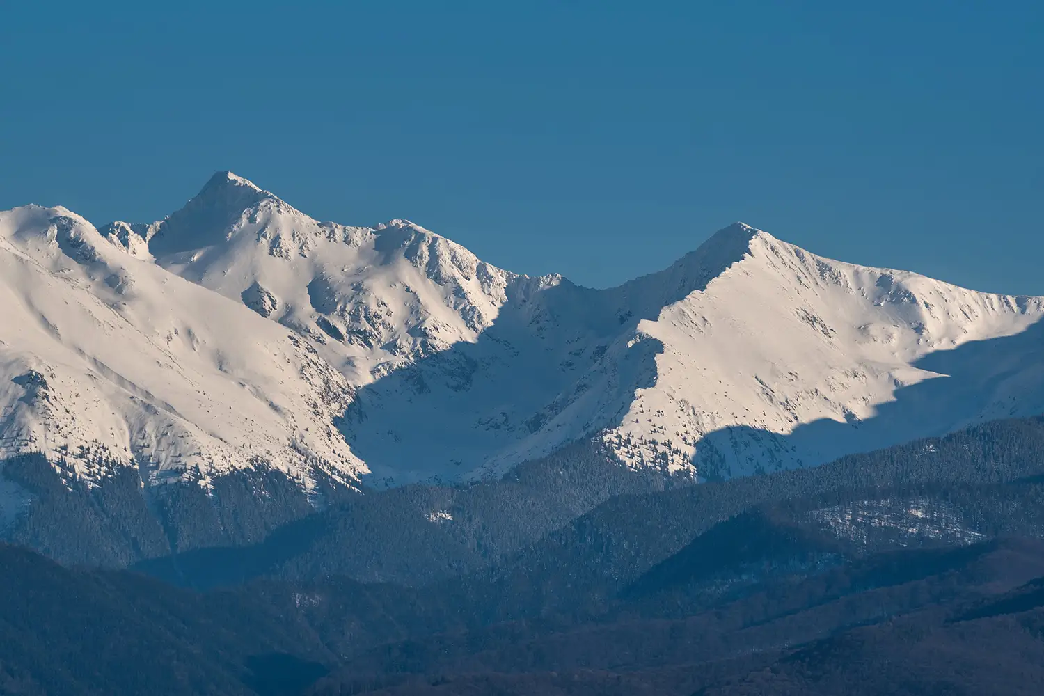 Munții Făgărașului
