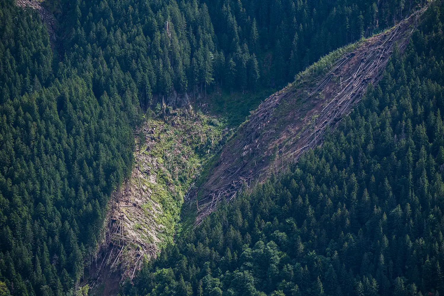 Munții Făgărașului