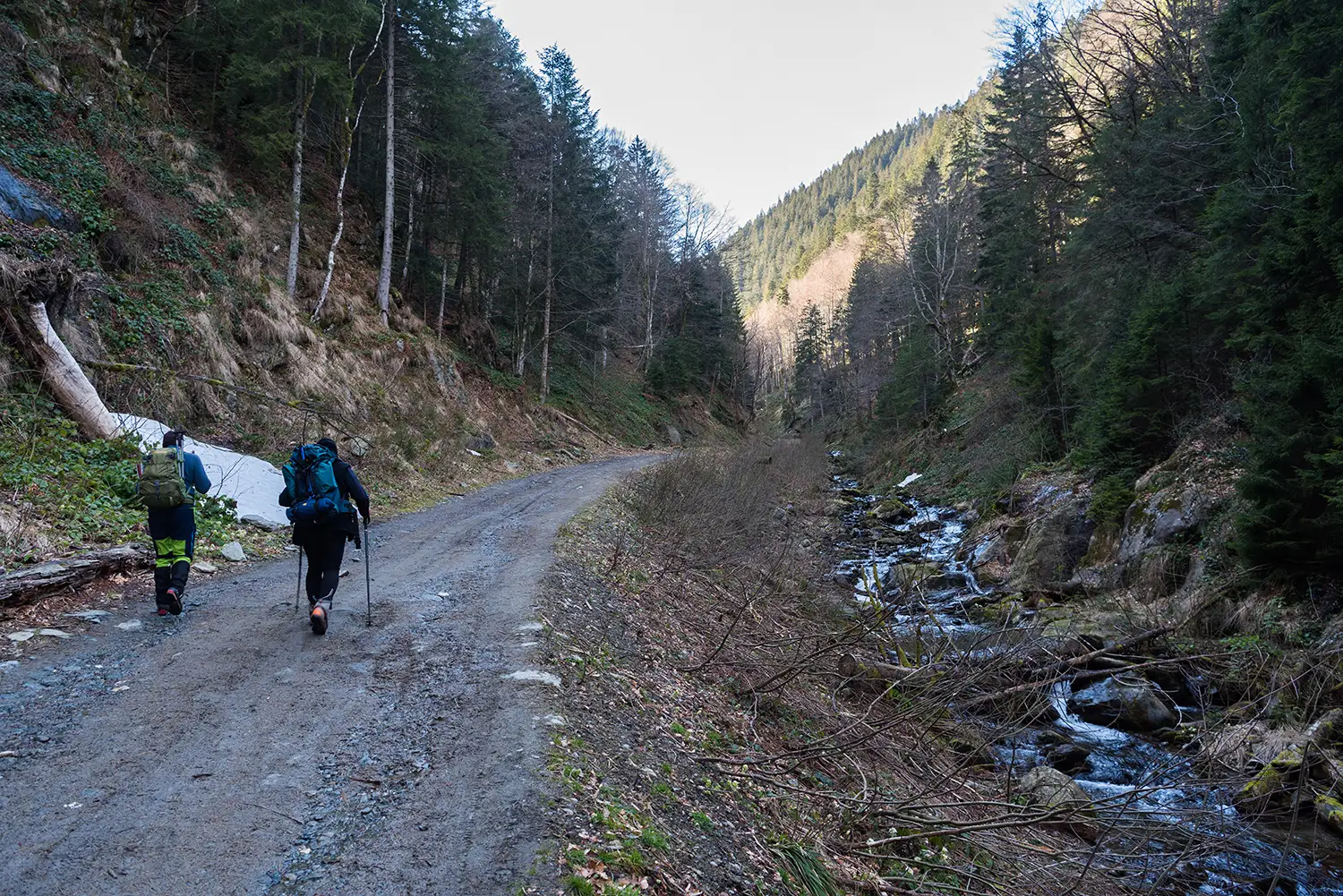 Munții Făgărașului