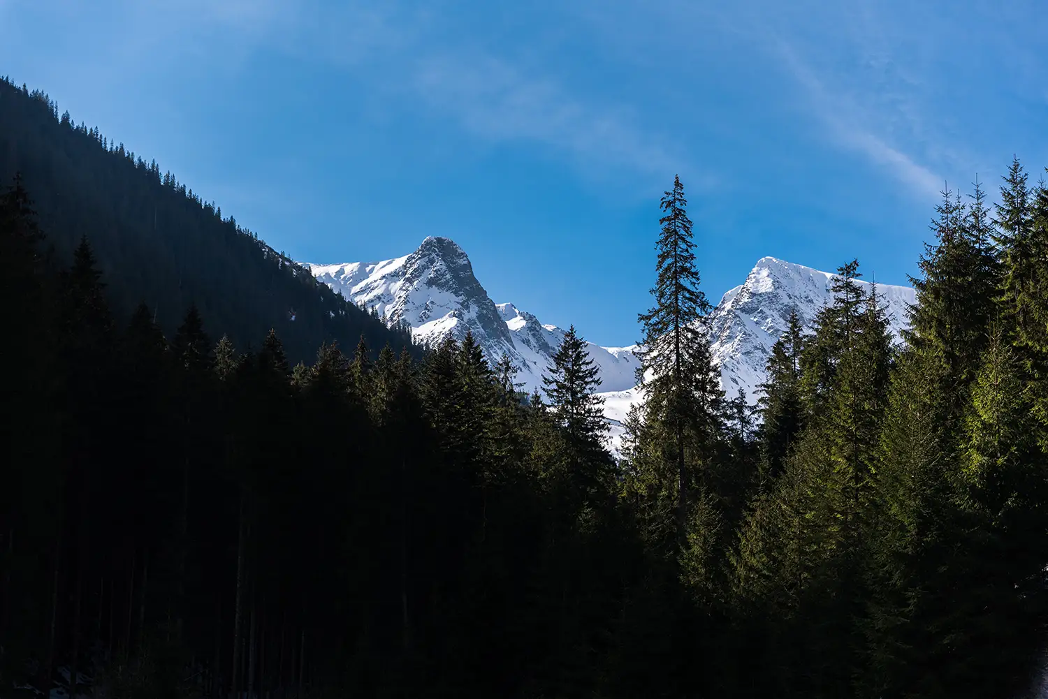 Munții Făgărașului