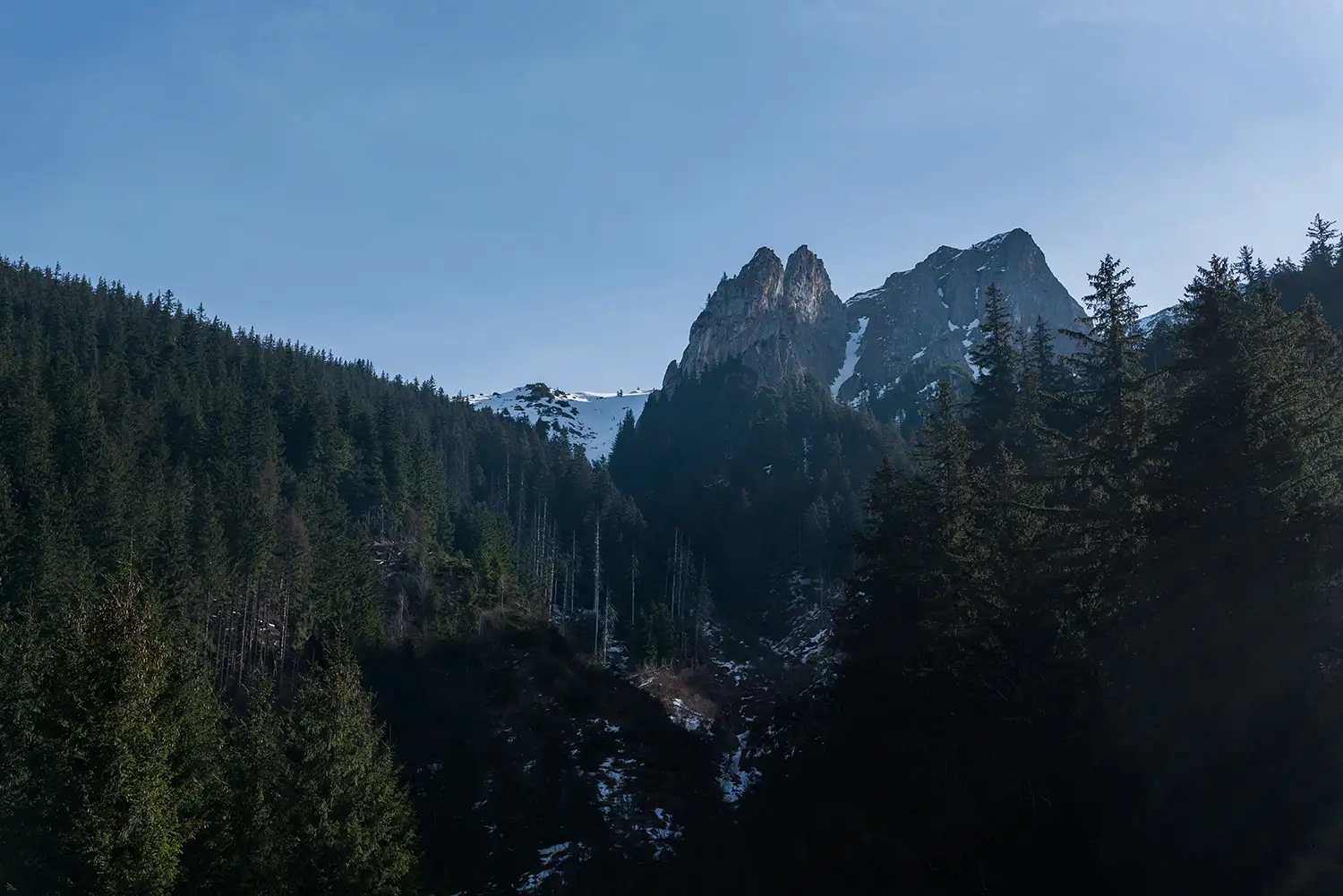 Munții Făgărașului