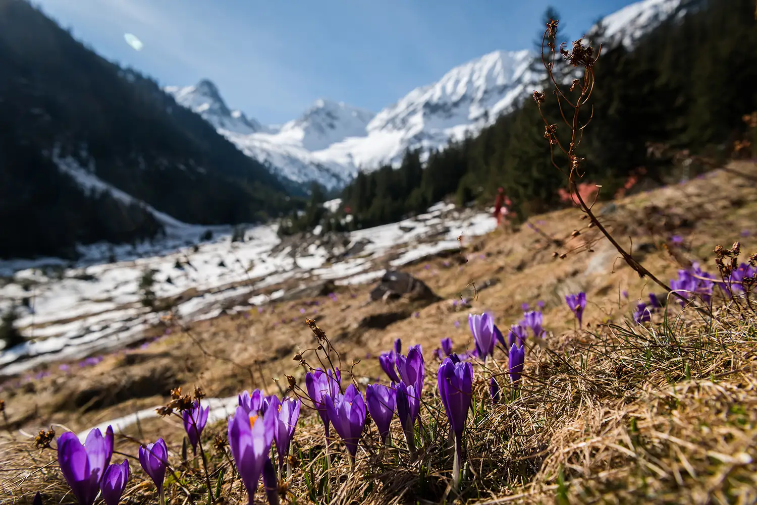 Munții Făgărașului