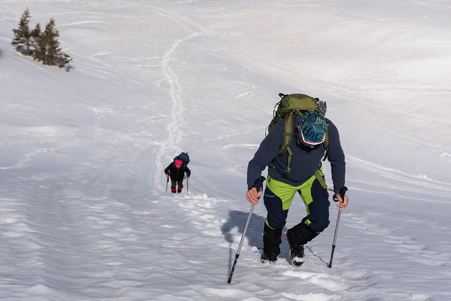 Munții Făgărașului
