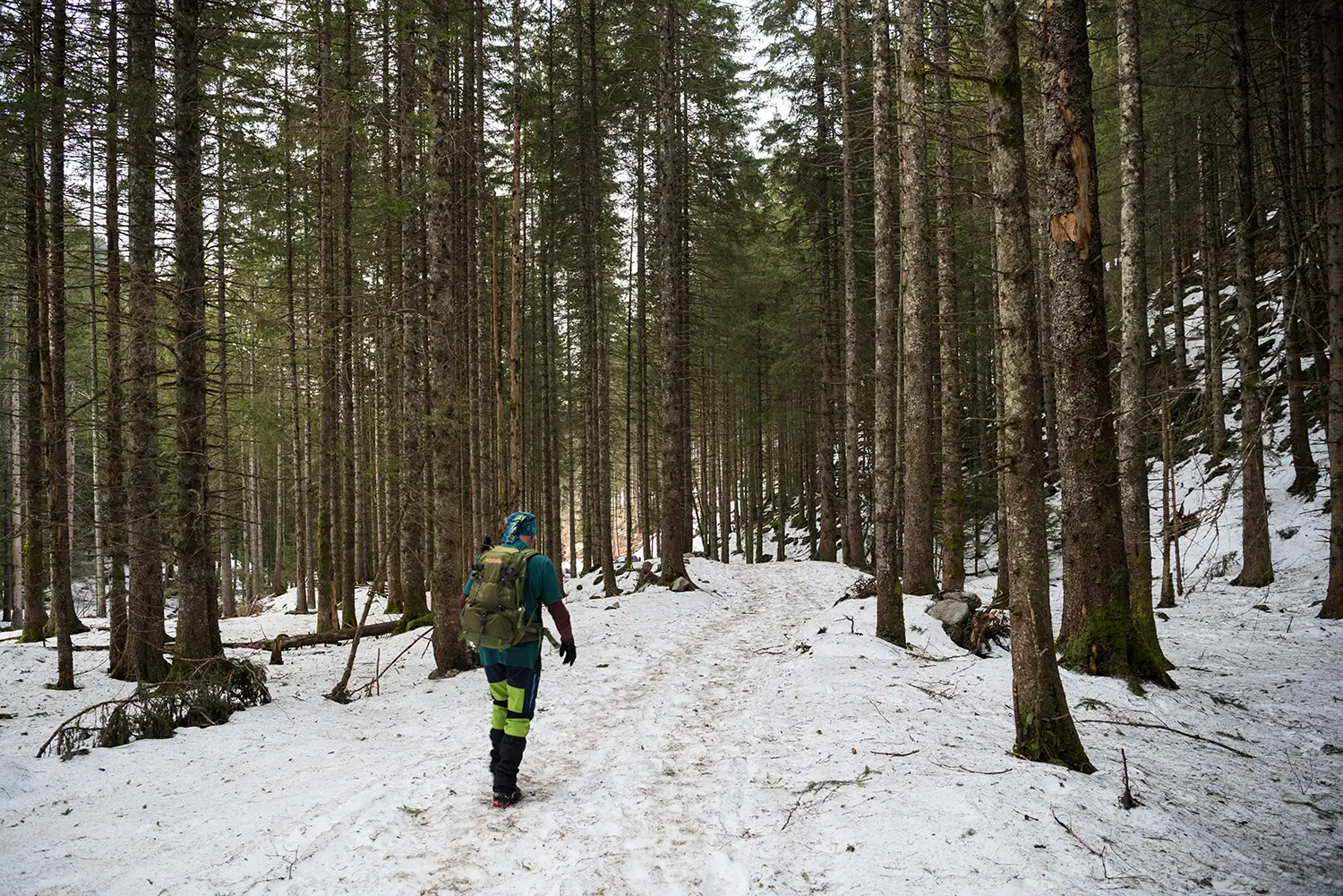 Munții Făgărașului