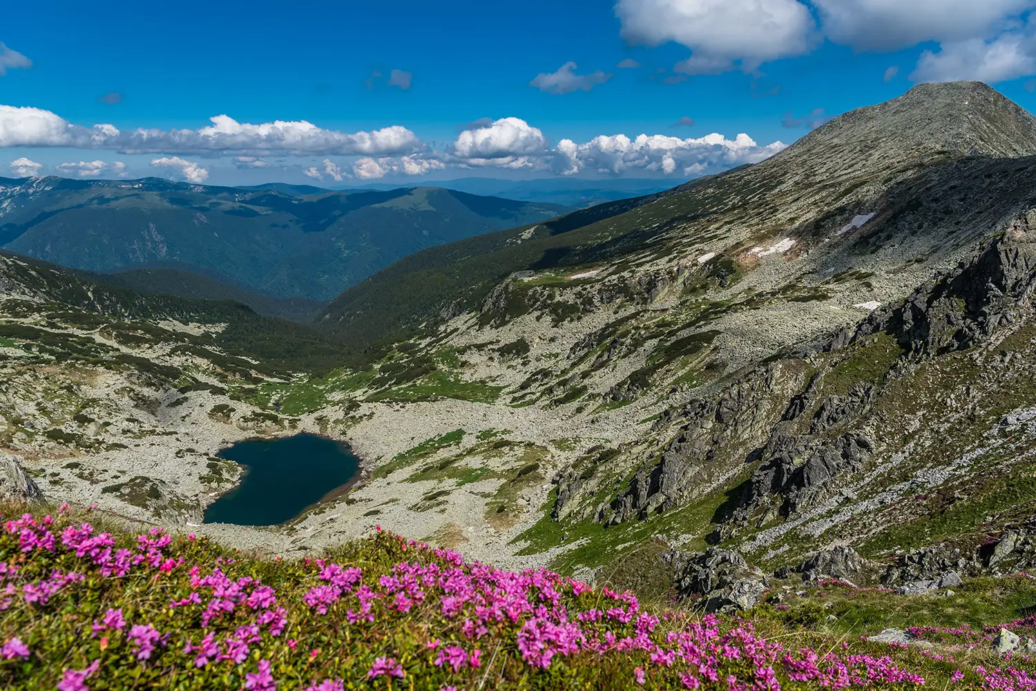Carpații Meridionali