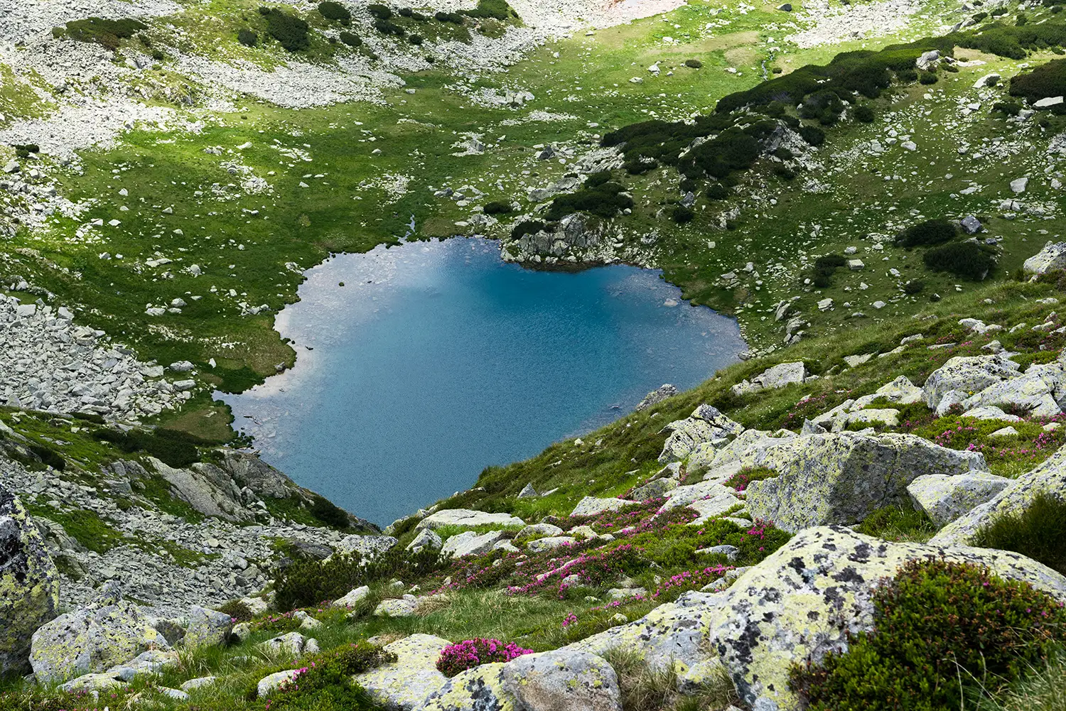 Carpații Meridionali