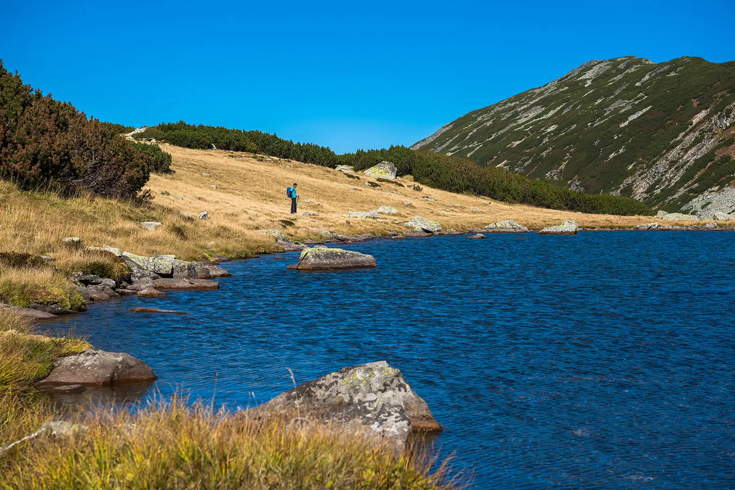 Carpații Meridionali
