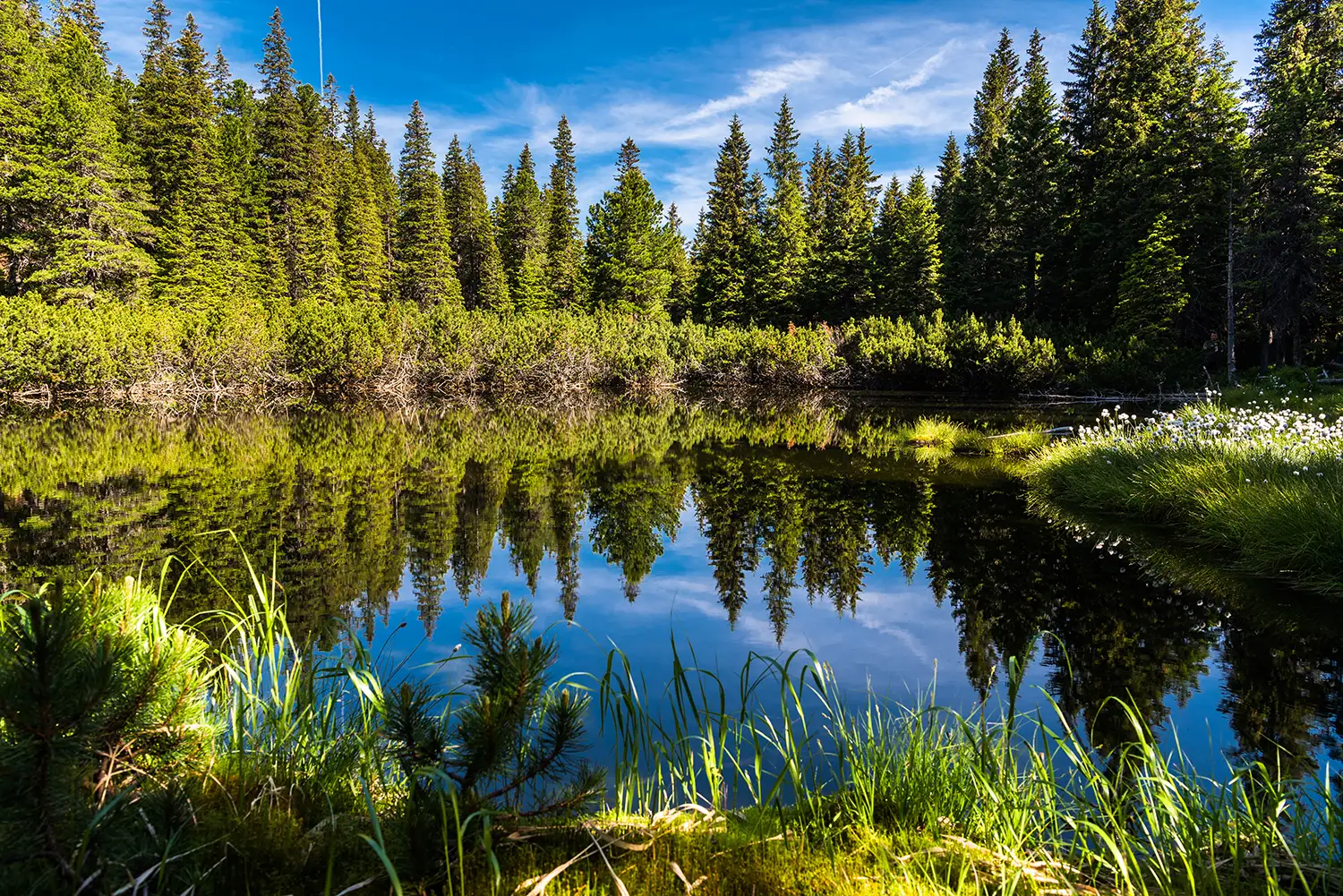 Carpații Meridionali