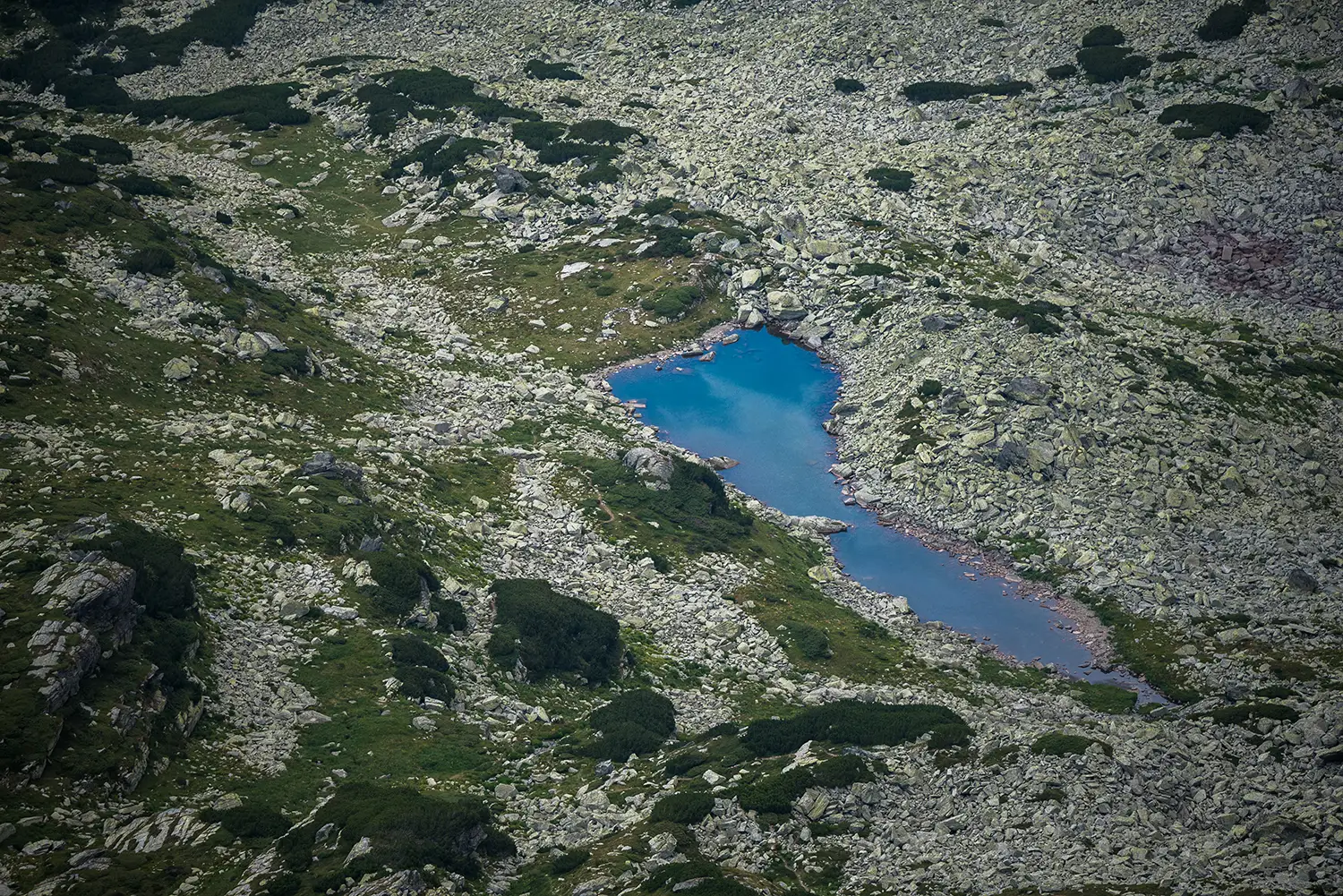 Carpații Meridionali