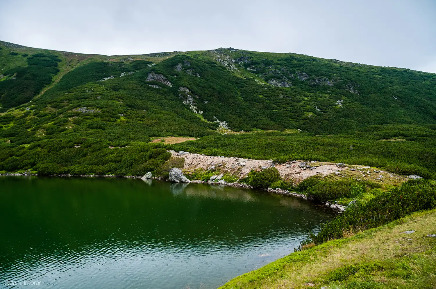 Carpații Meridionali