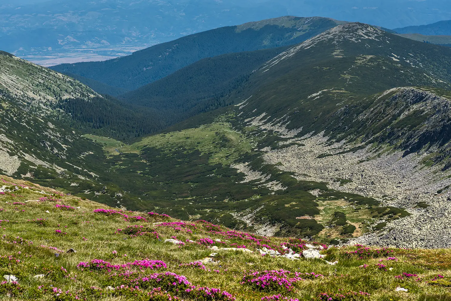 Carpații Meridionali