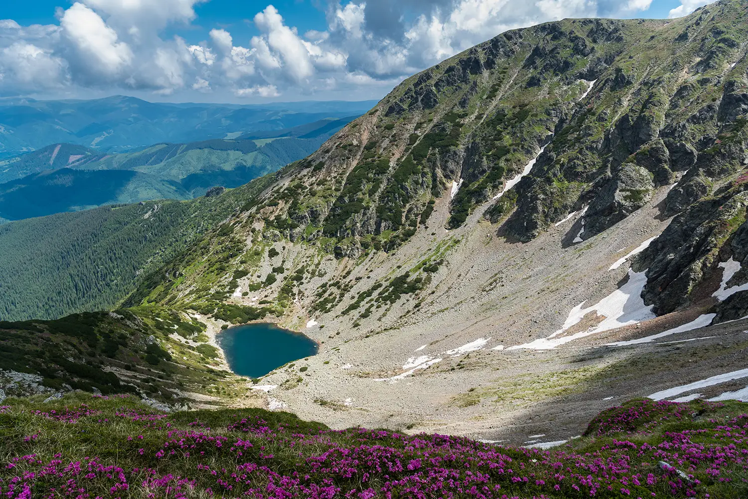 Carpații Meridionali